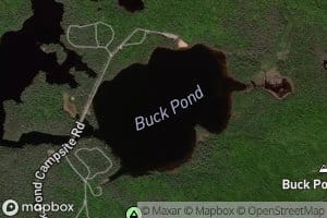 Buck Pond