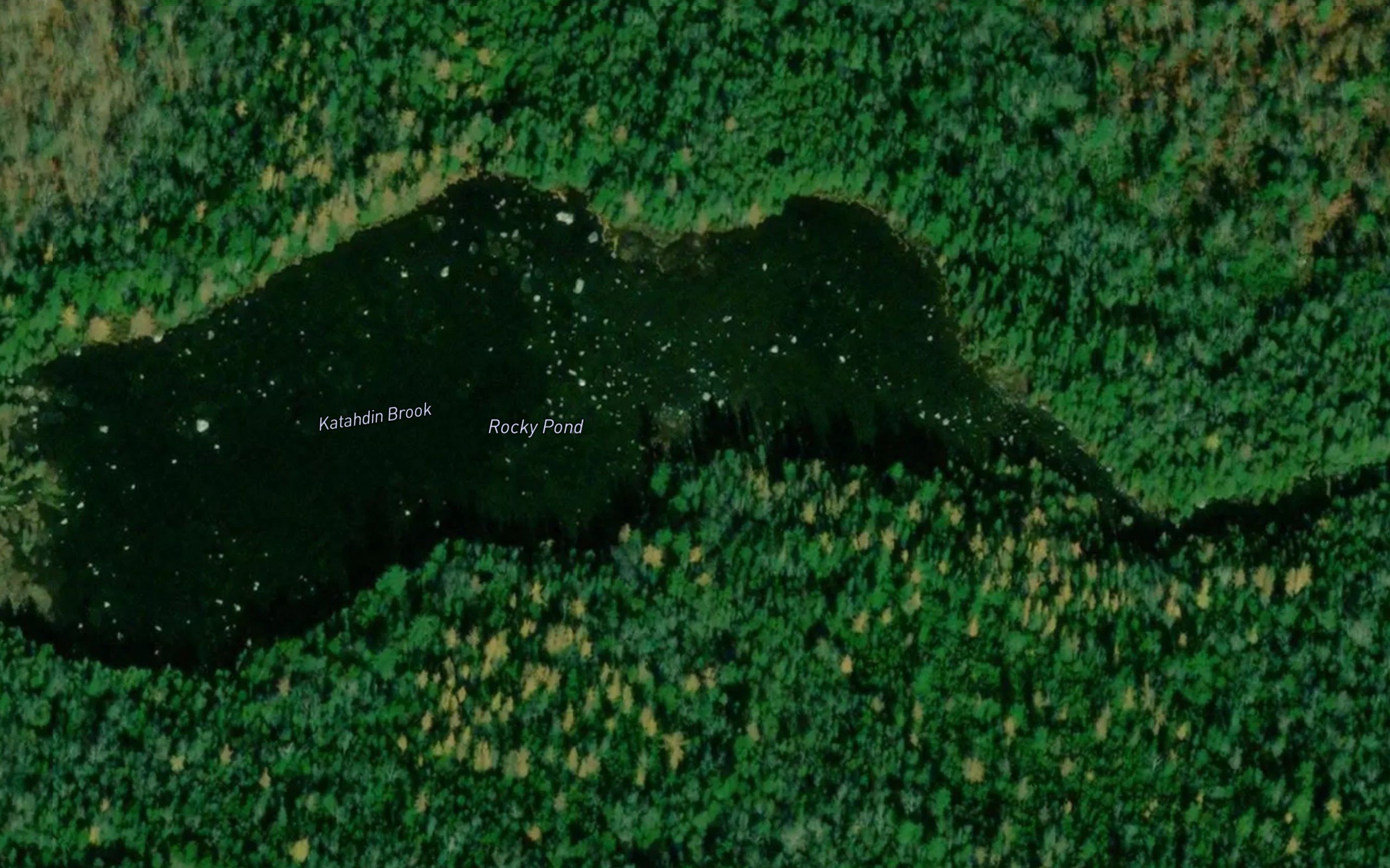 Rocky Pond