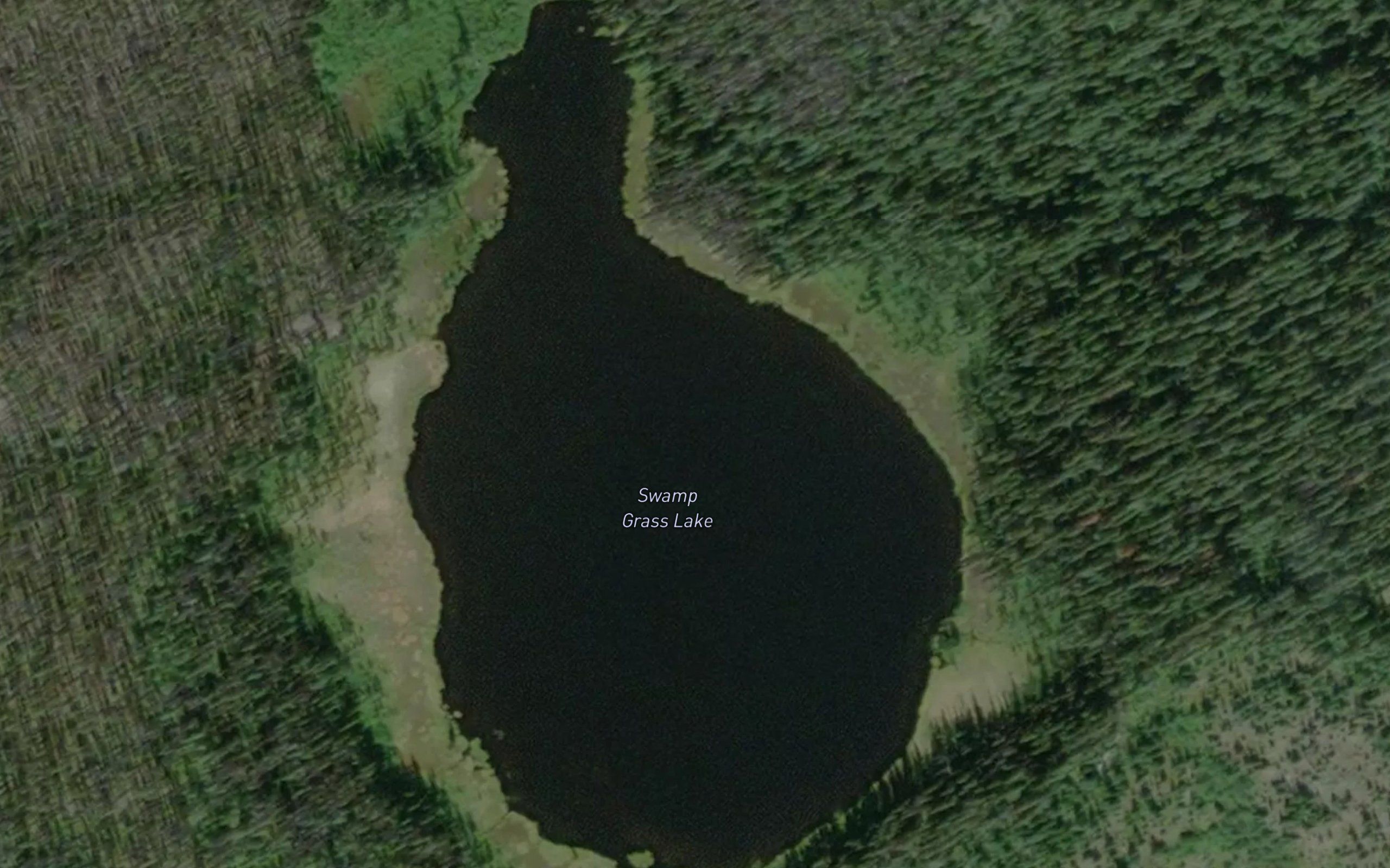 Swamp Grass Lake