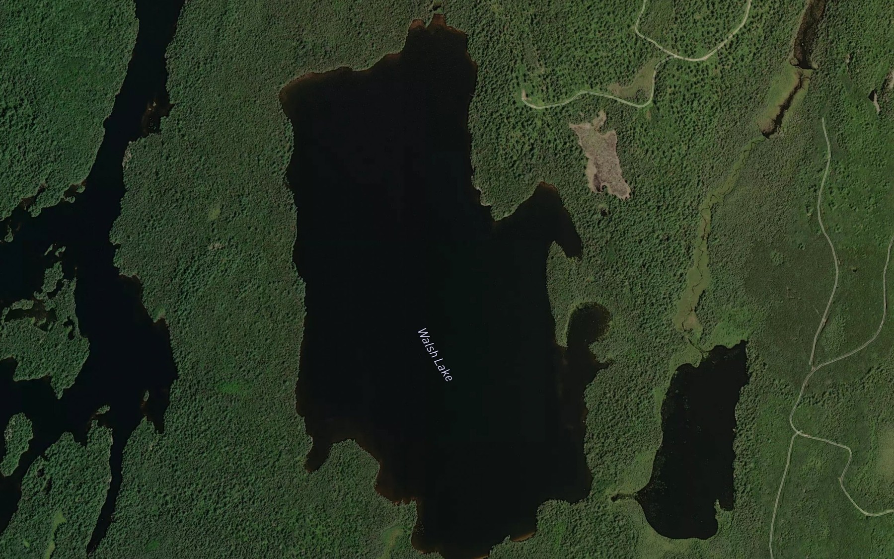Satellite map of the Walsh Lake