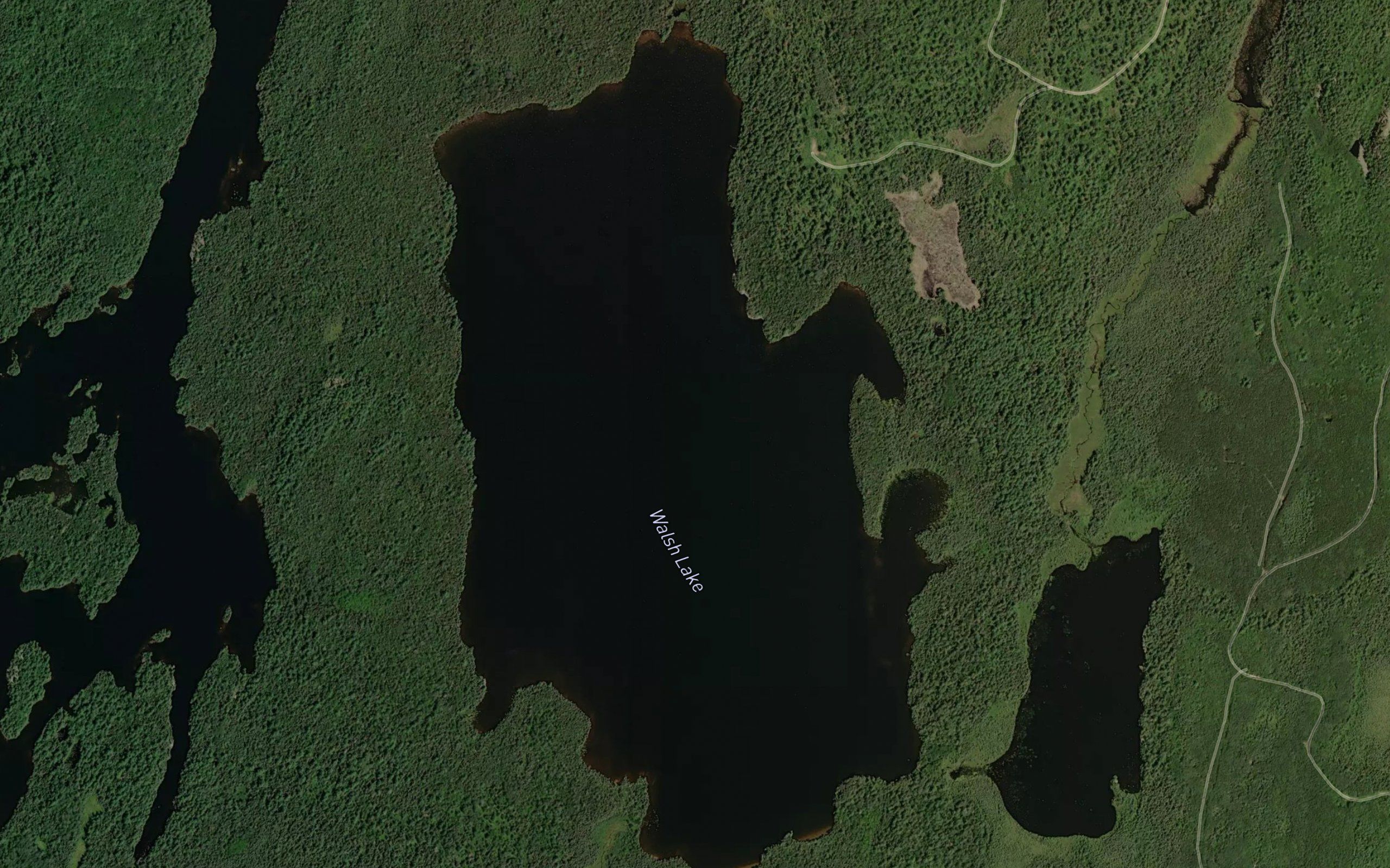 Walsh Lake