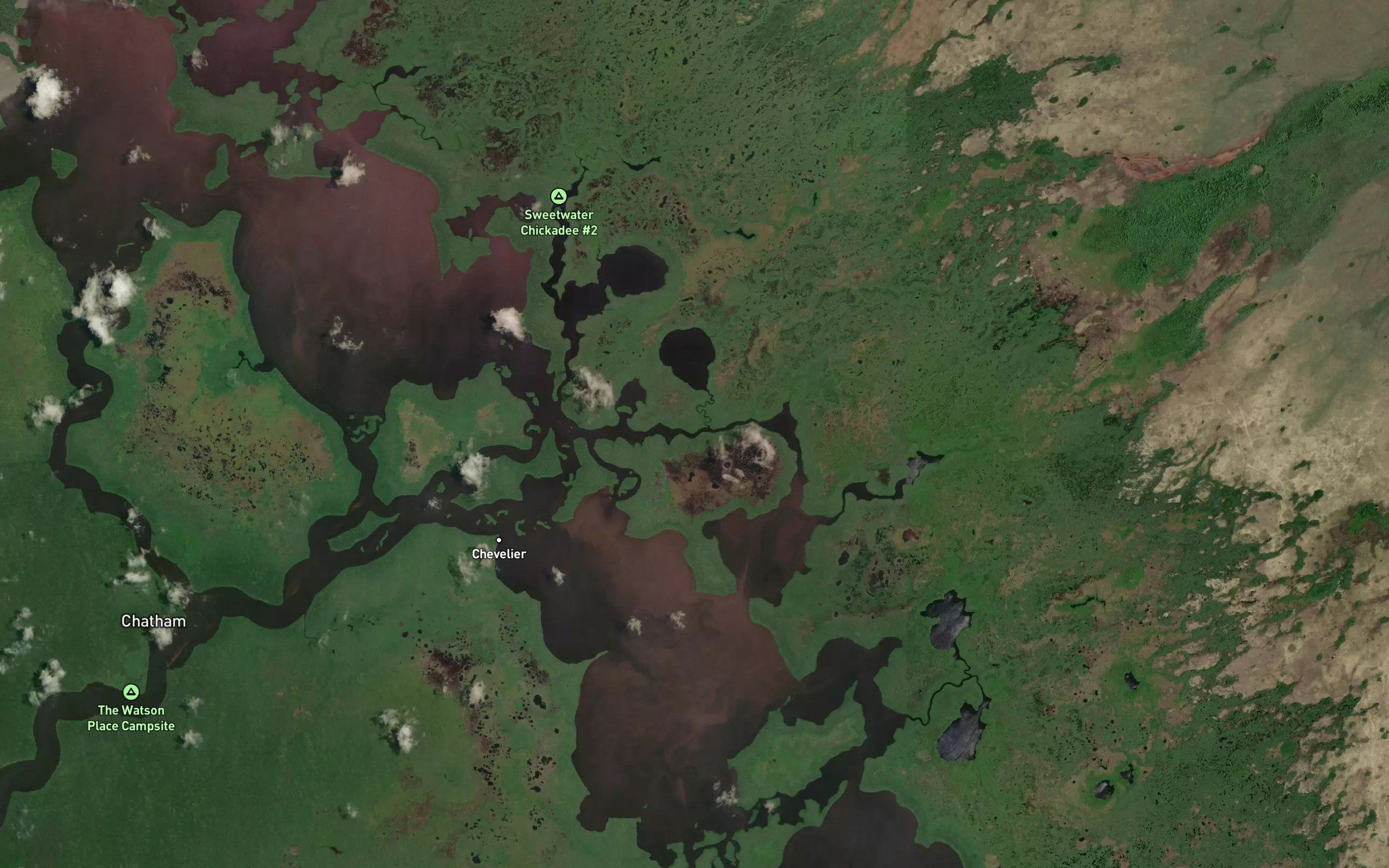 Deer Island Creek