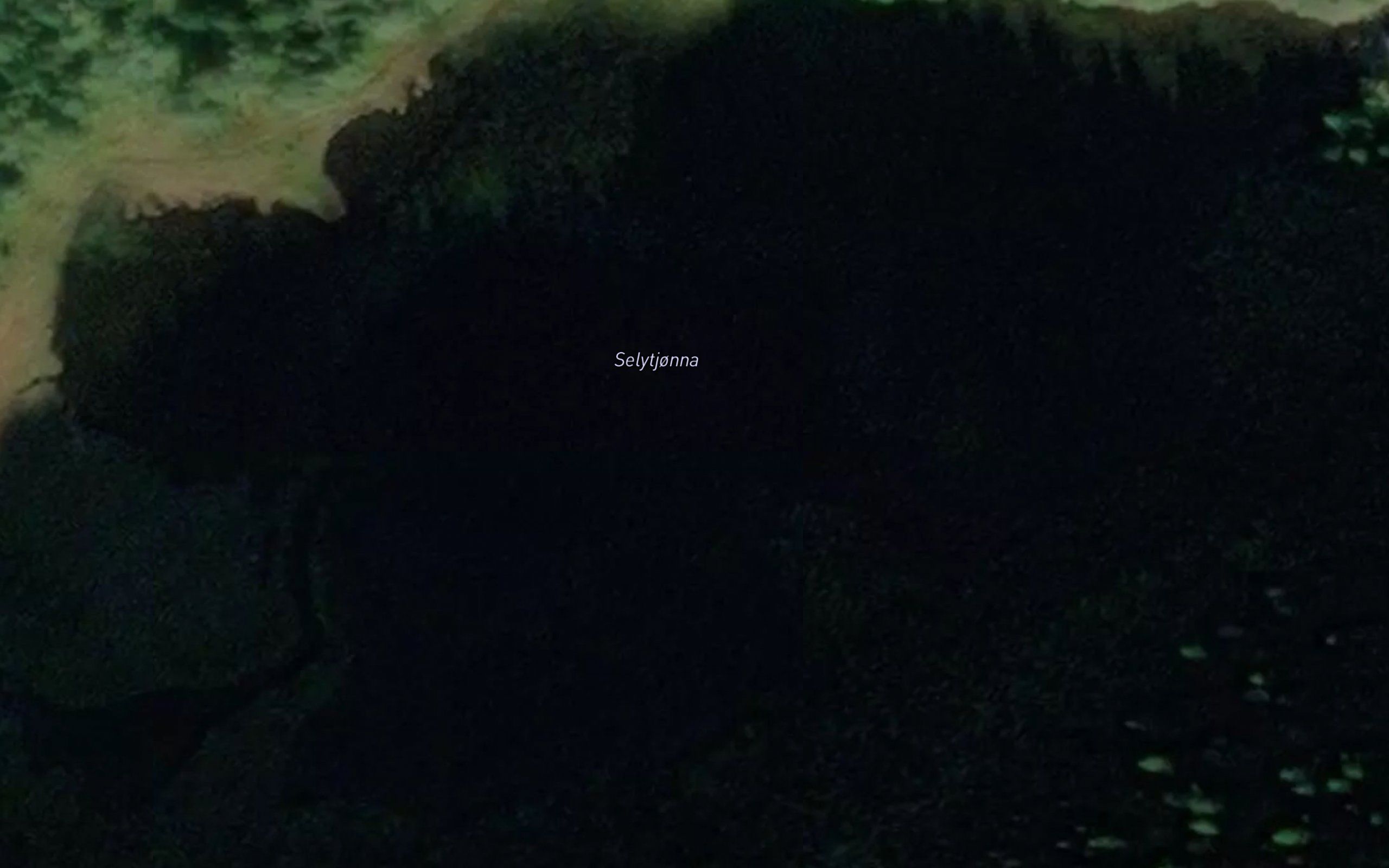 Selytjorna