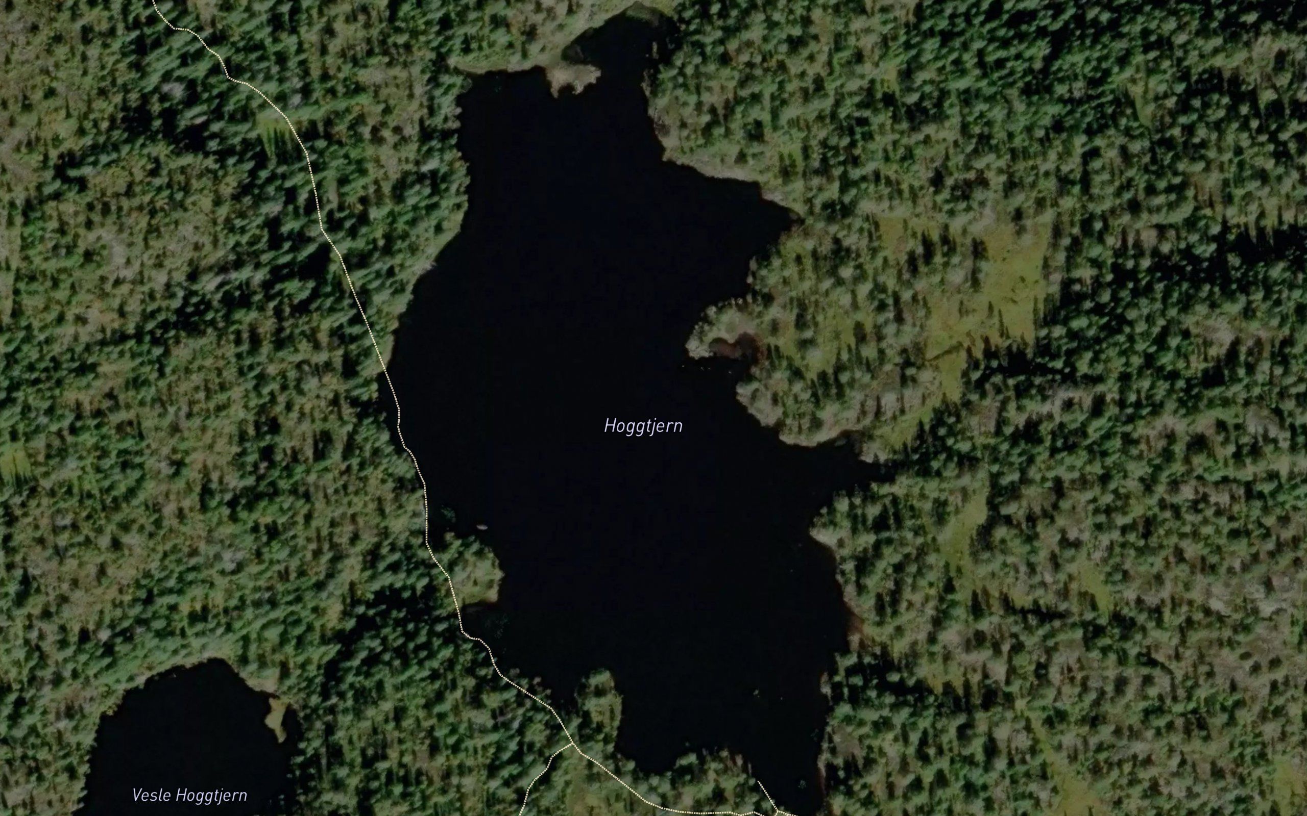 Hoggtjern