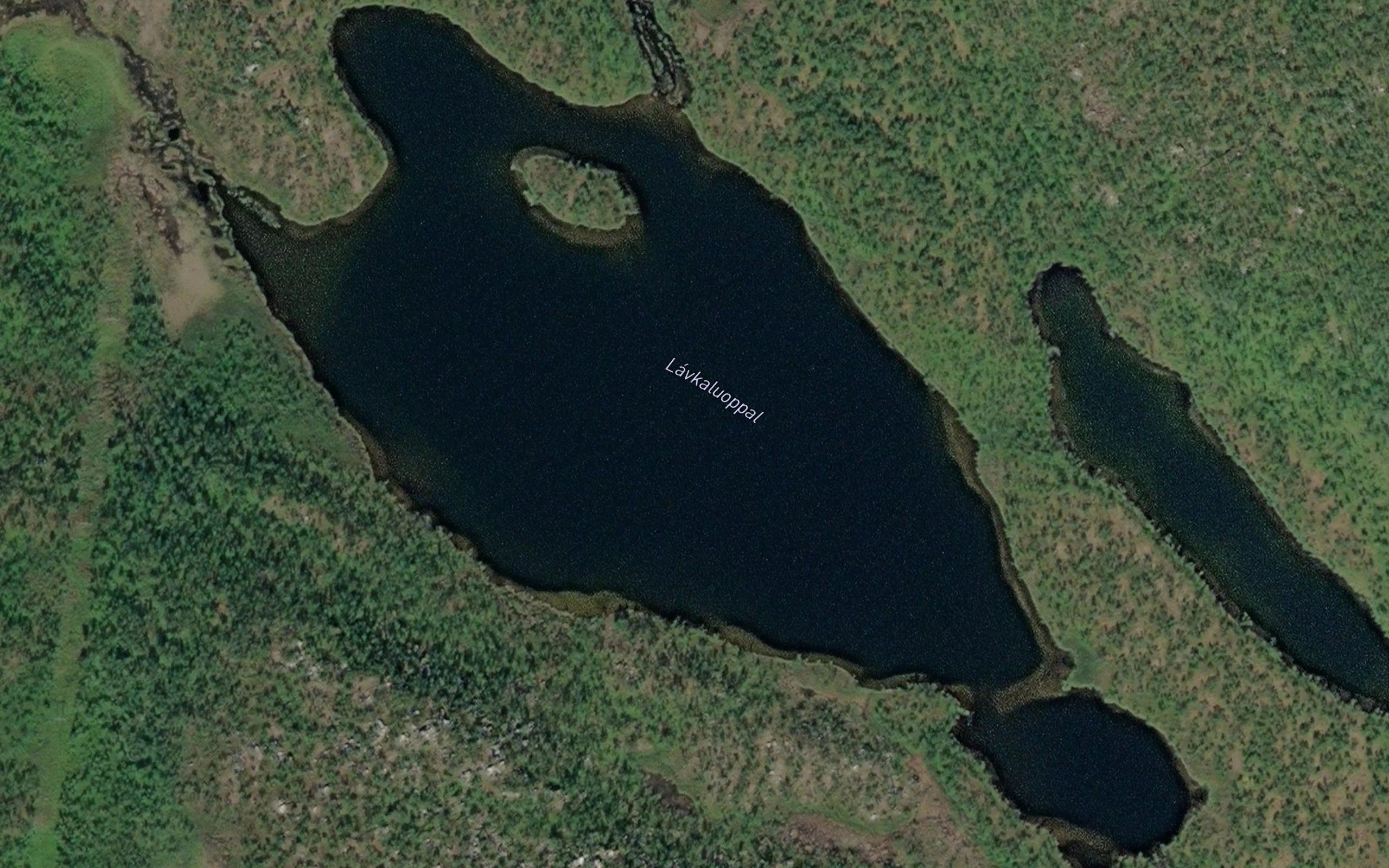Lavkaluobbal