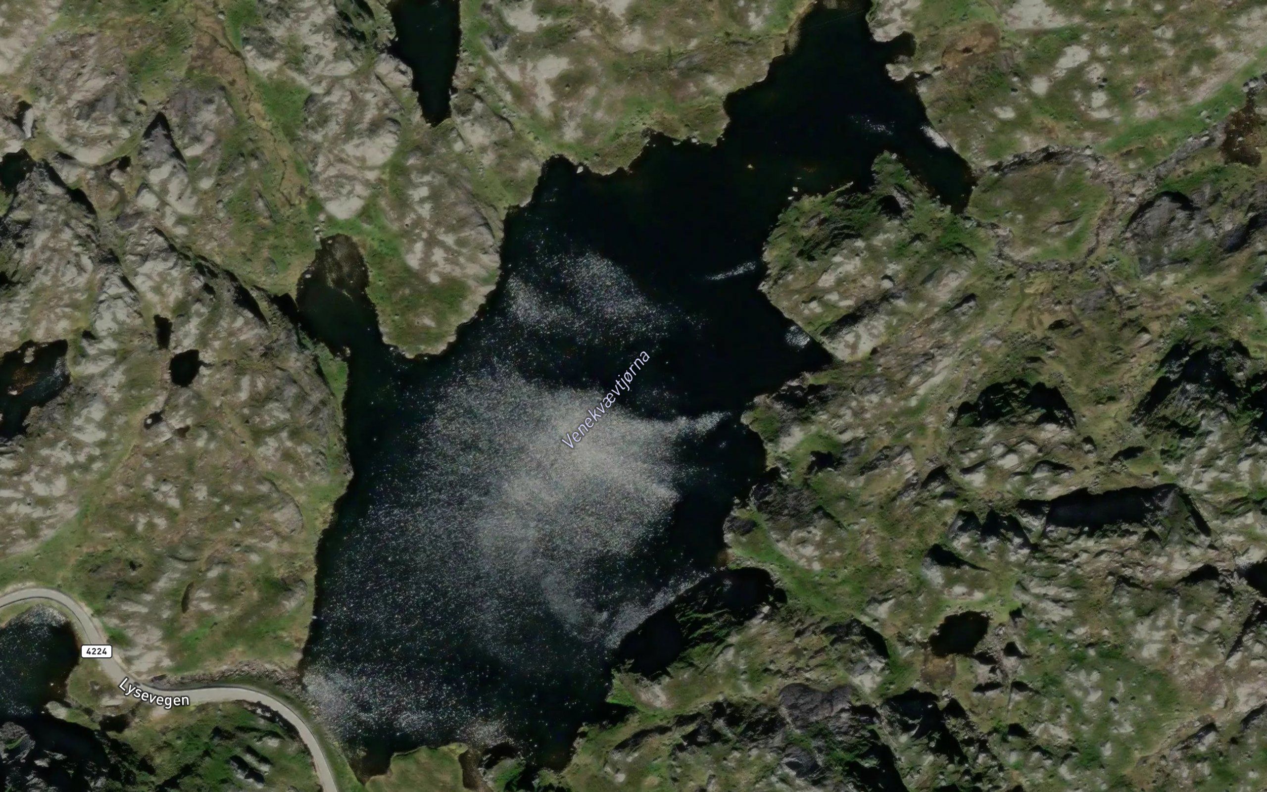 Venekvaevtjorna