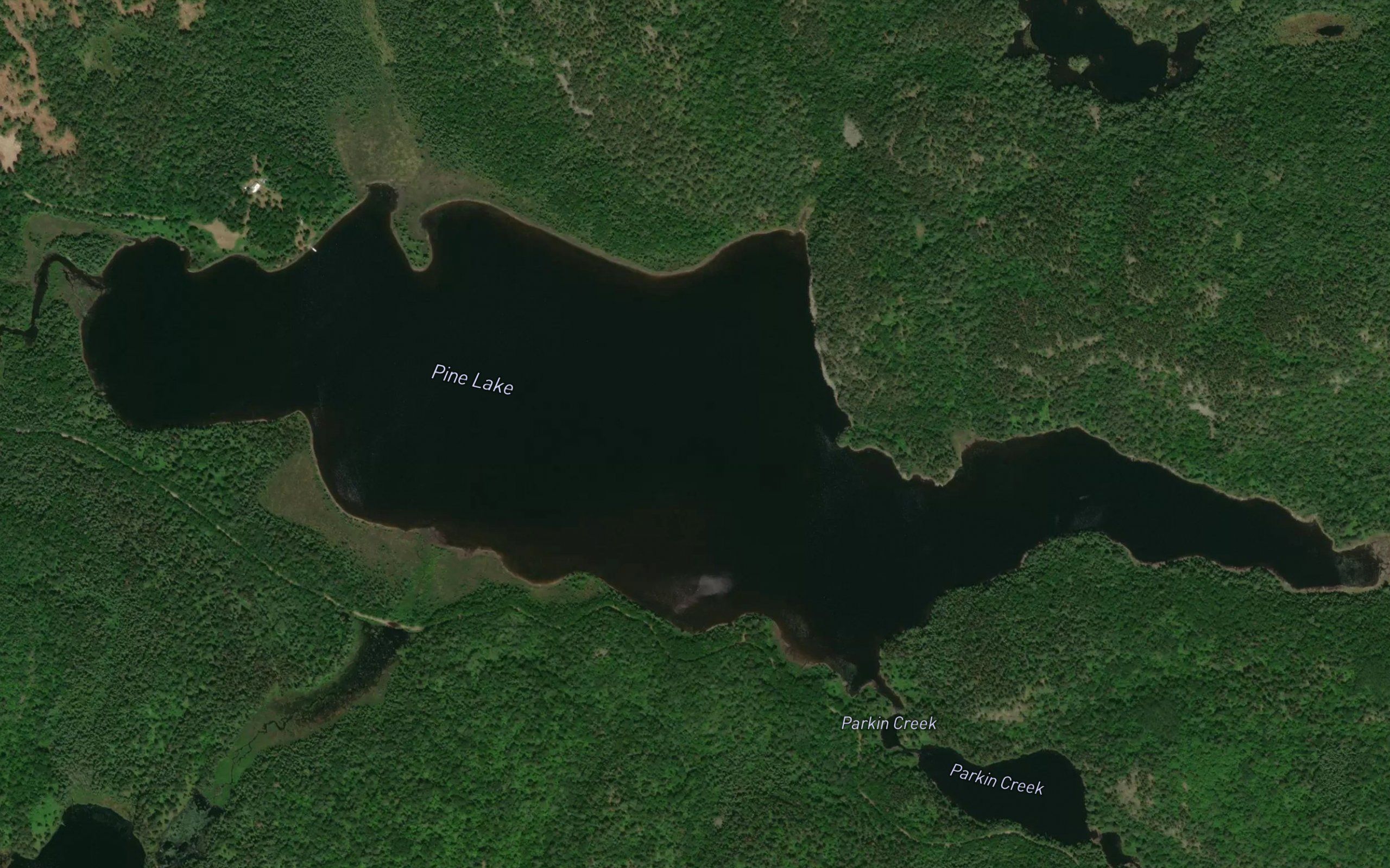 Pine Lake