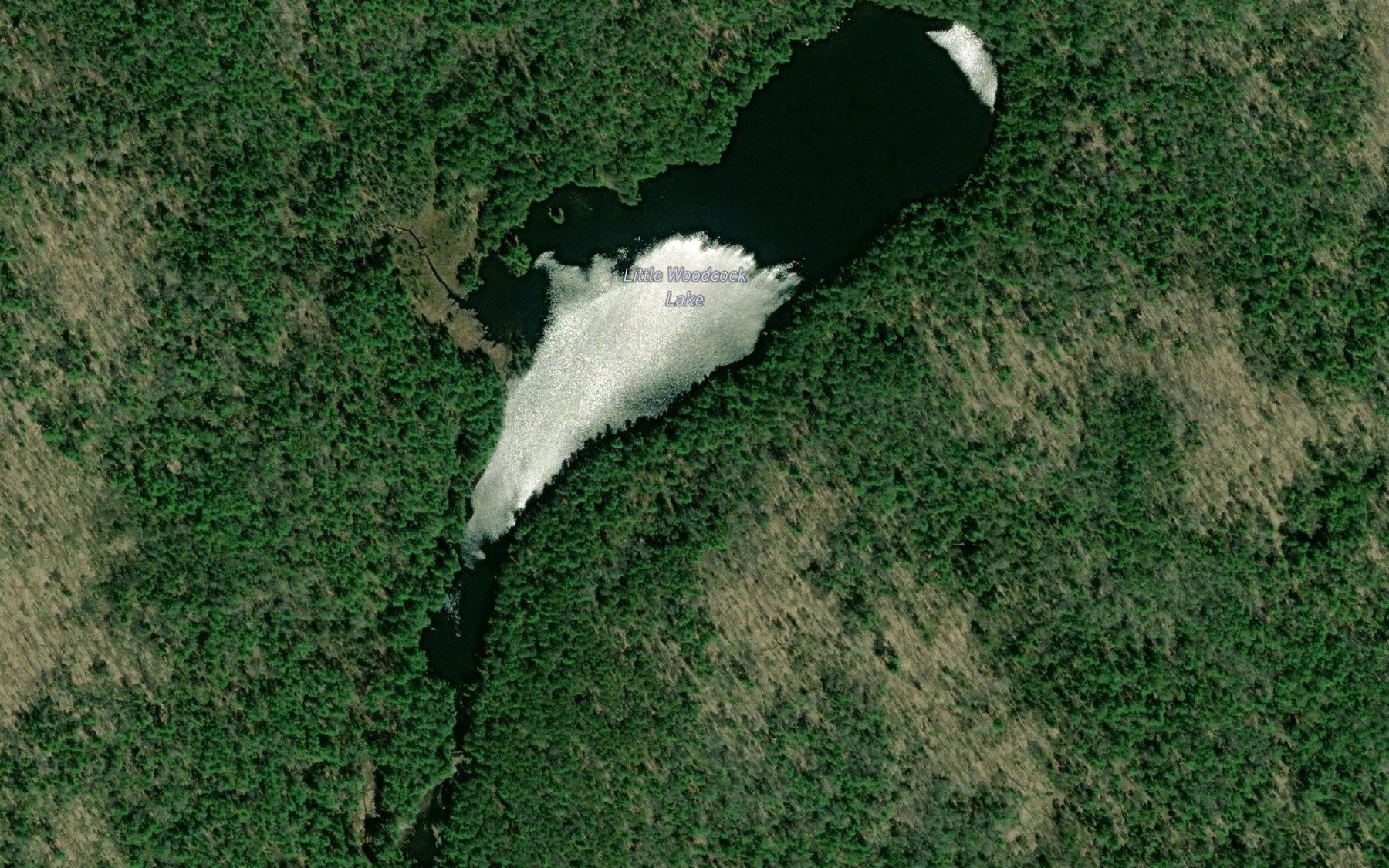 Satellite map of the Little Woodcock Lake