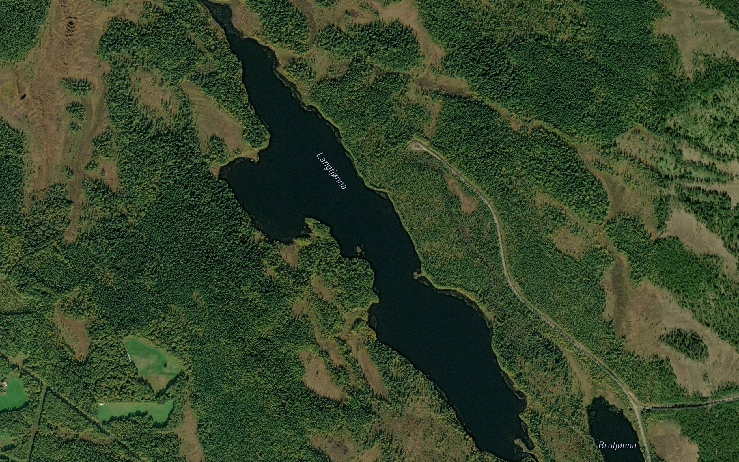Langtjorna