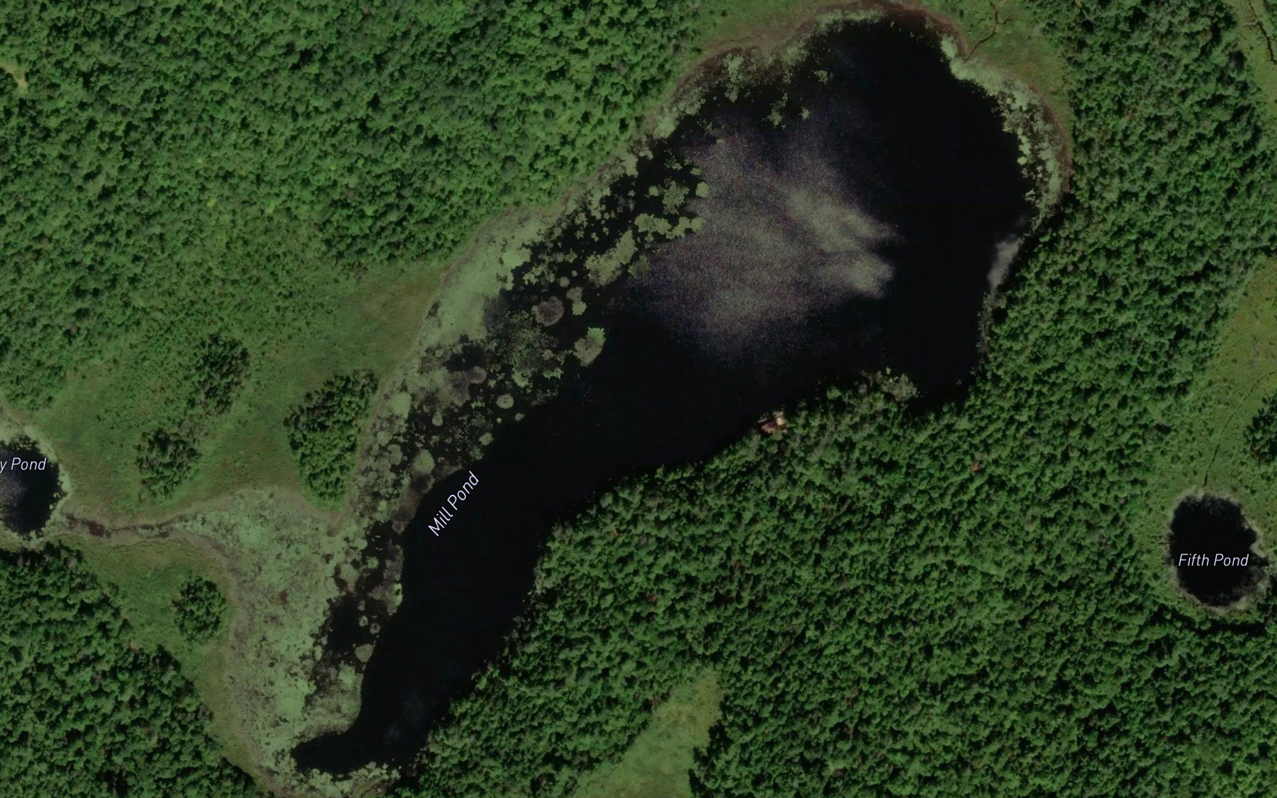 Mill Pond