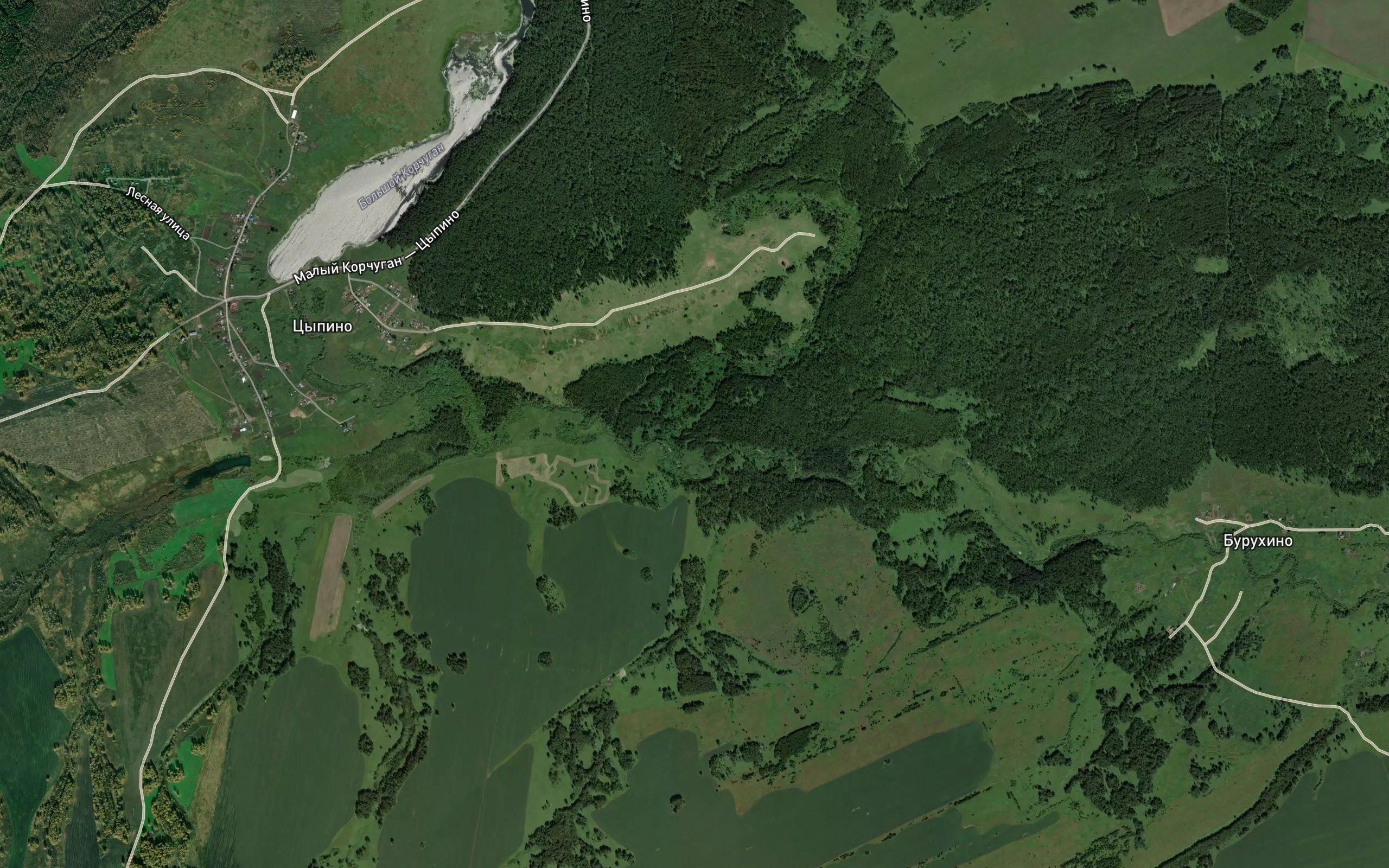 Golovnikha