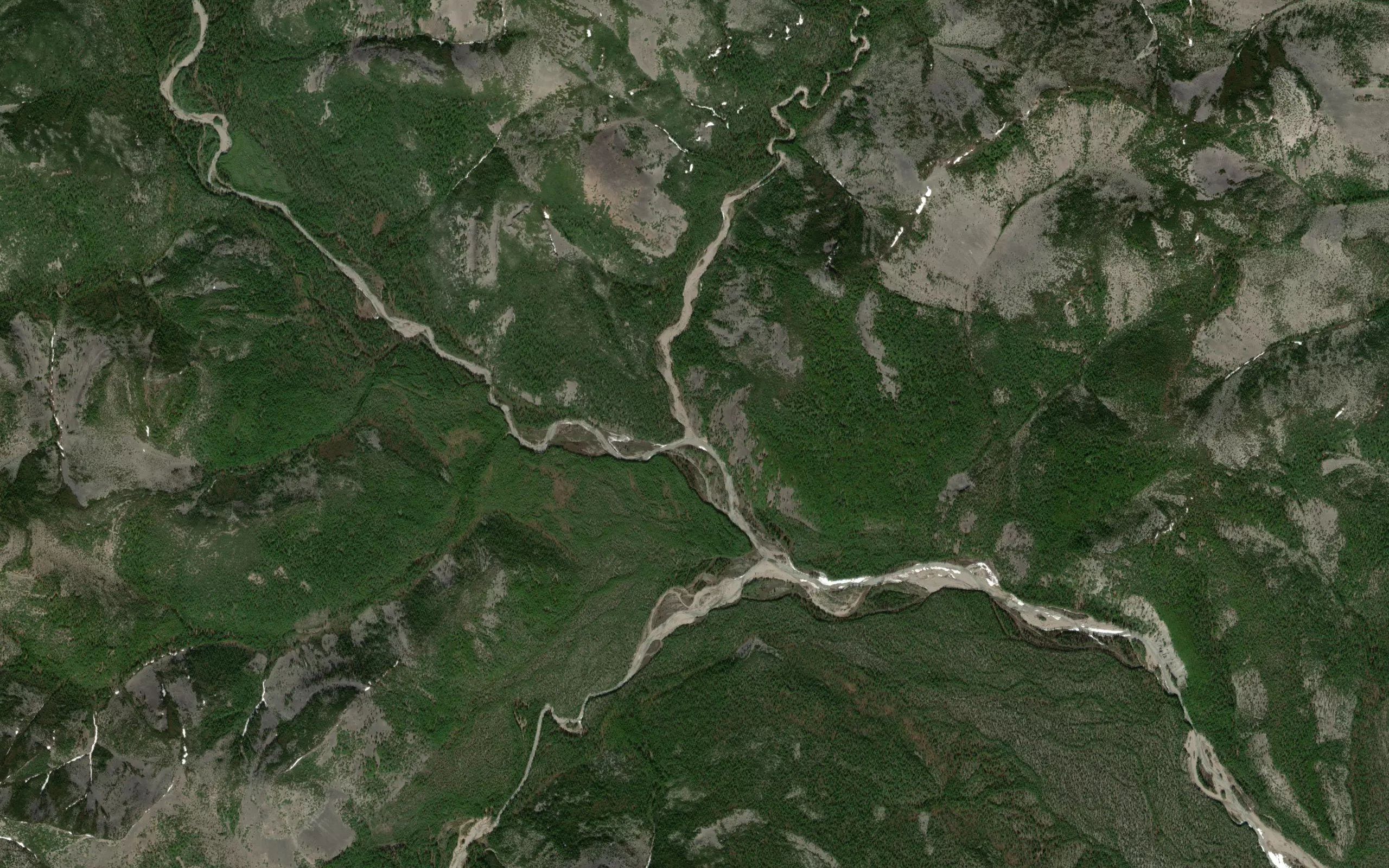 Lesistyy