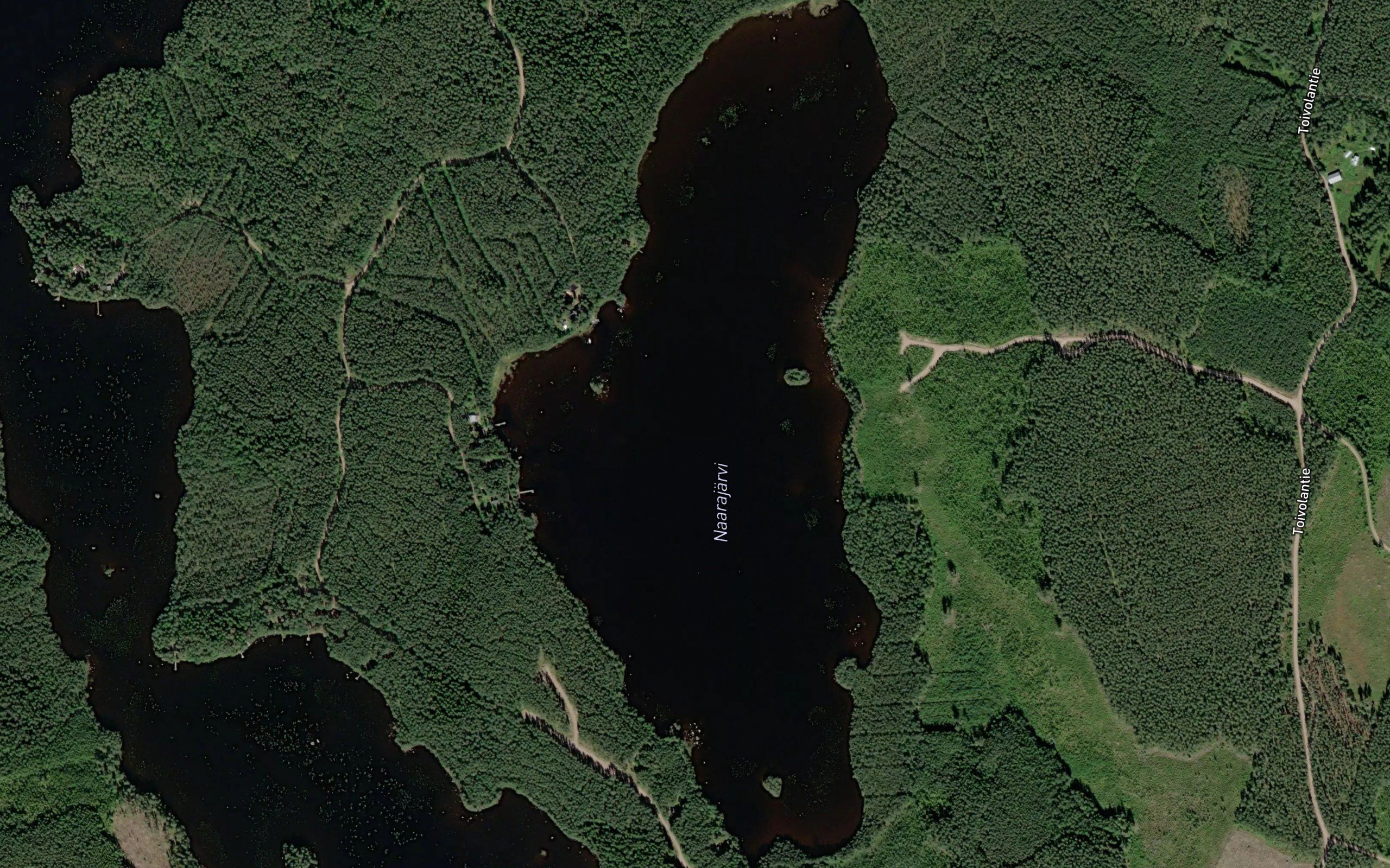 Naarajarvi