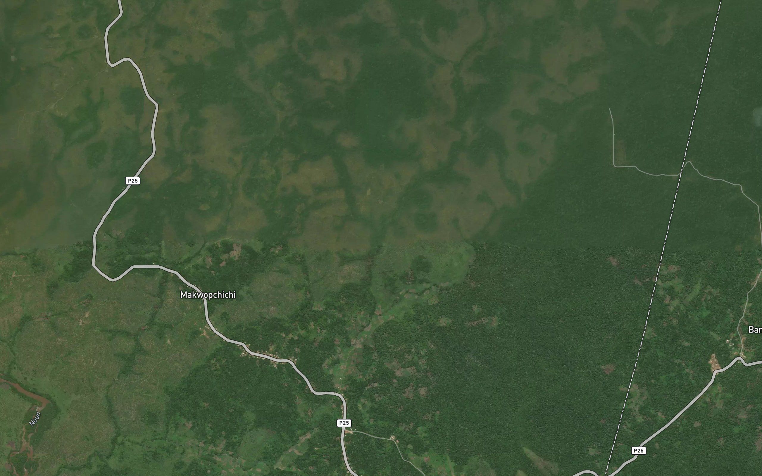 Nkounyi