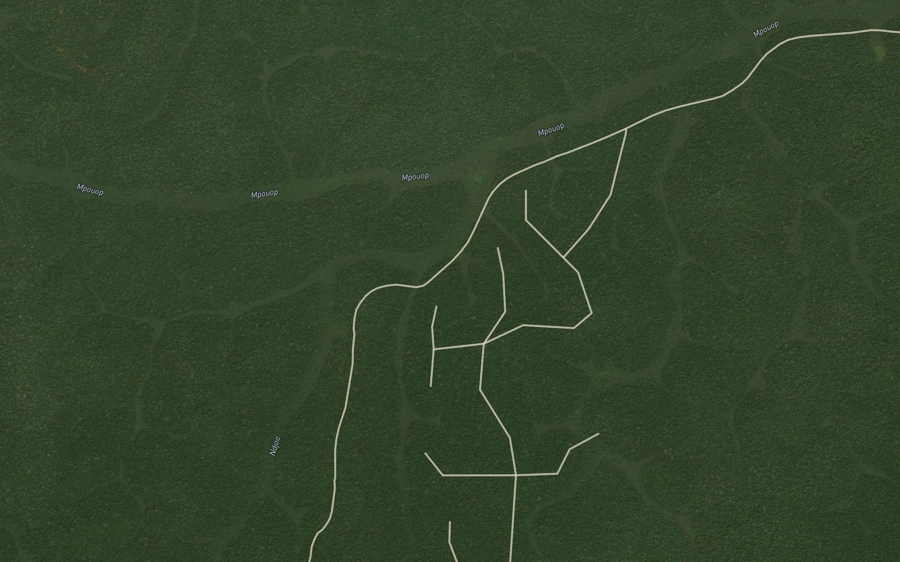 Satellite map of the Ndjoo