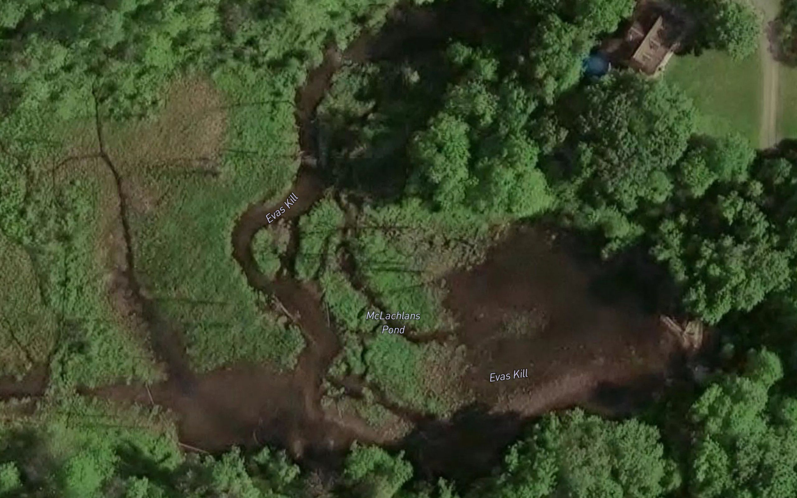 McLachlan Pond