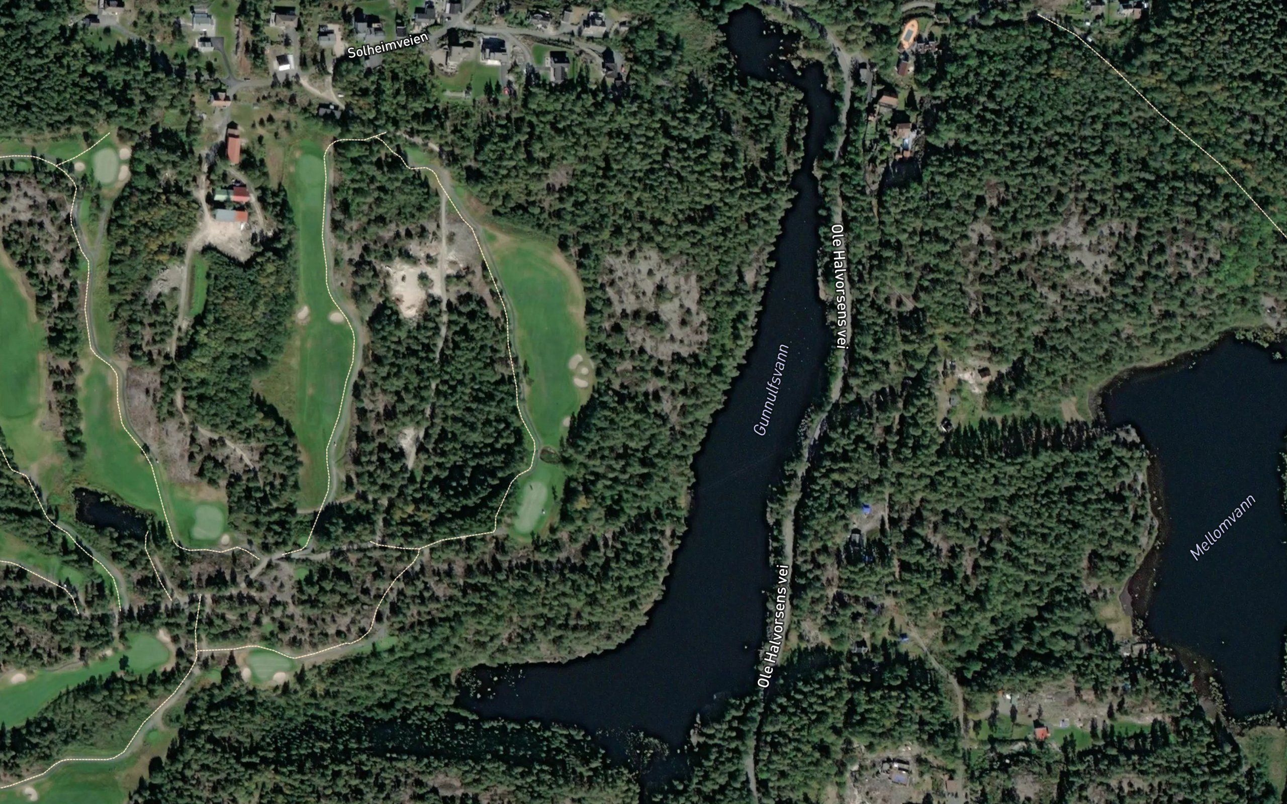 Gunnulfsvann