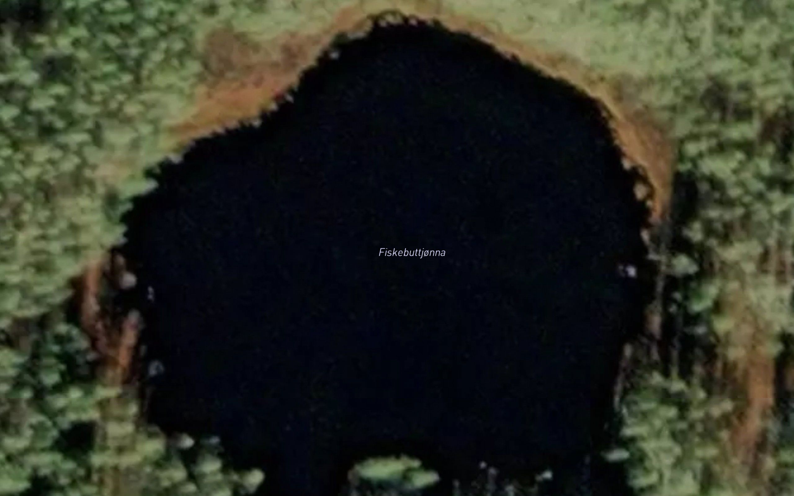 Fiskebuttjorna