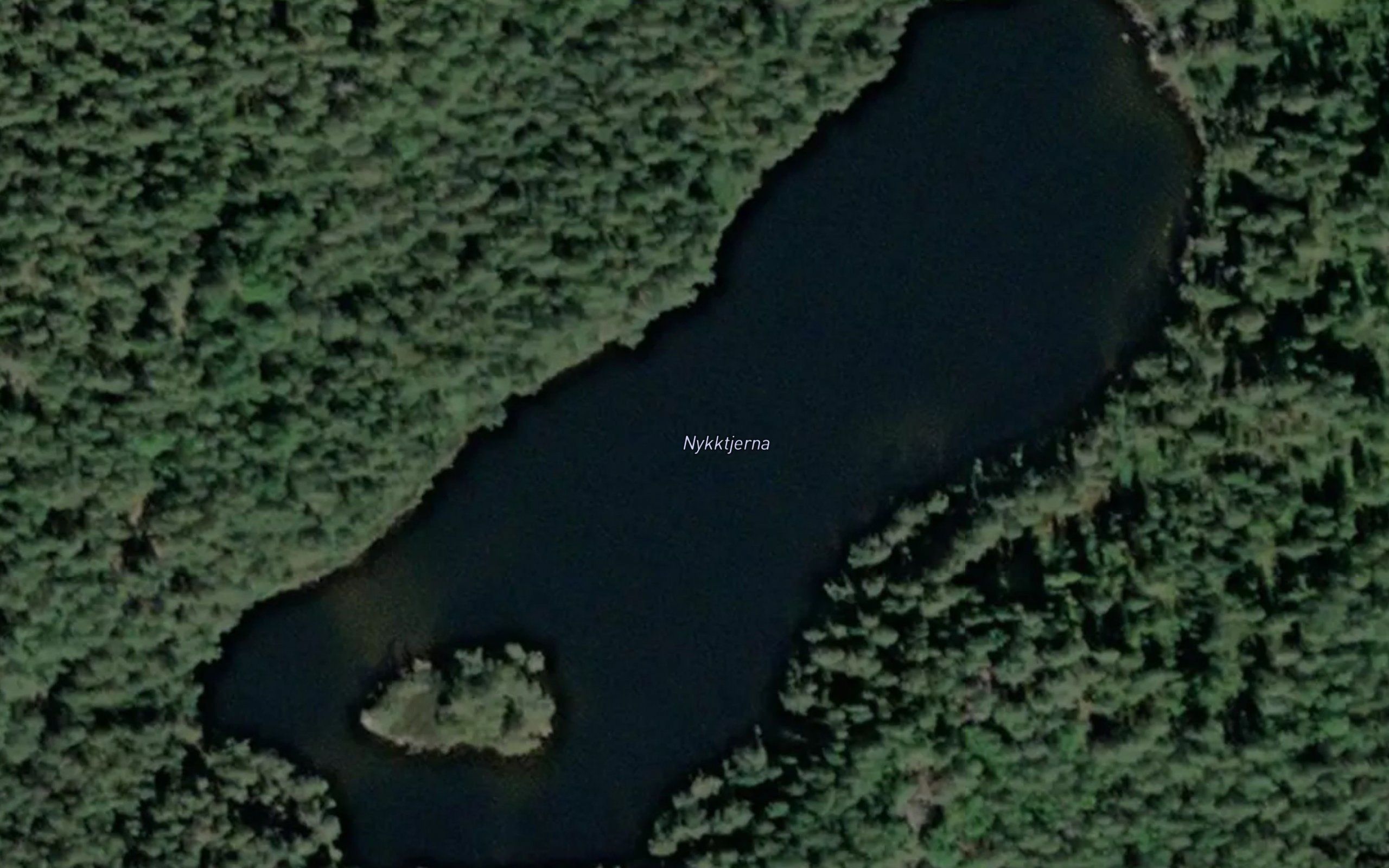 Nykktjerna