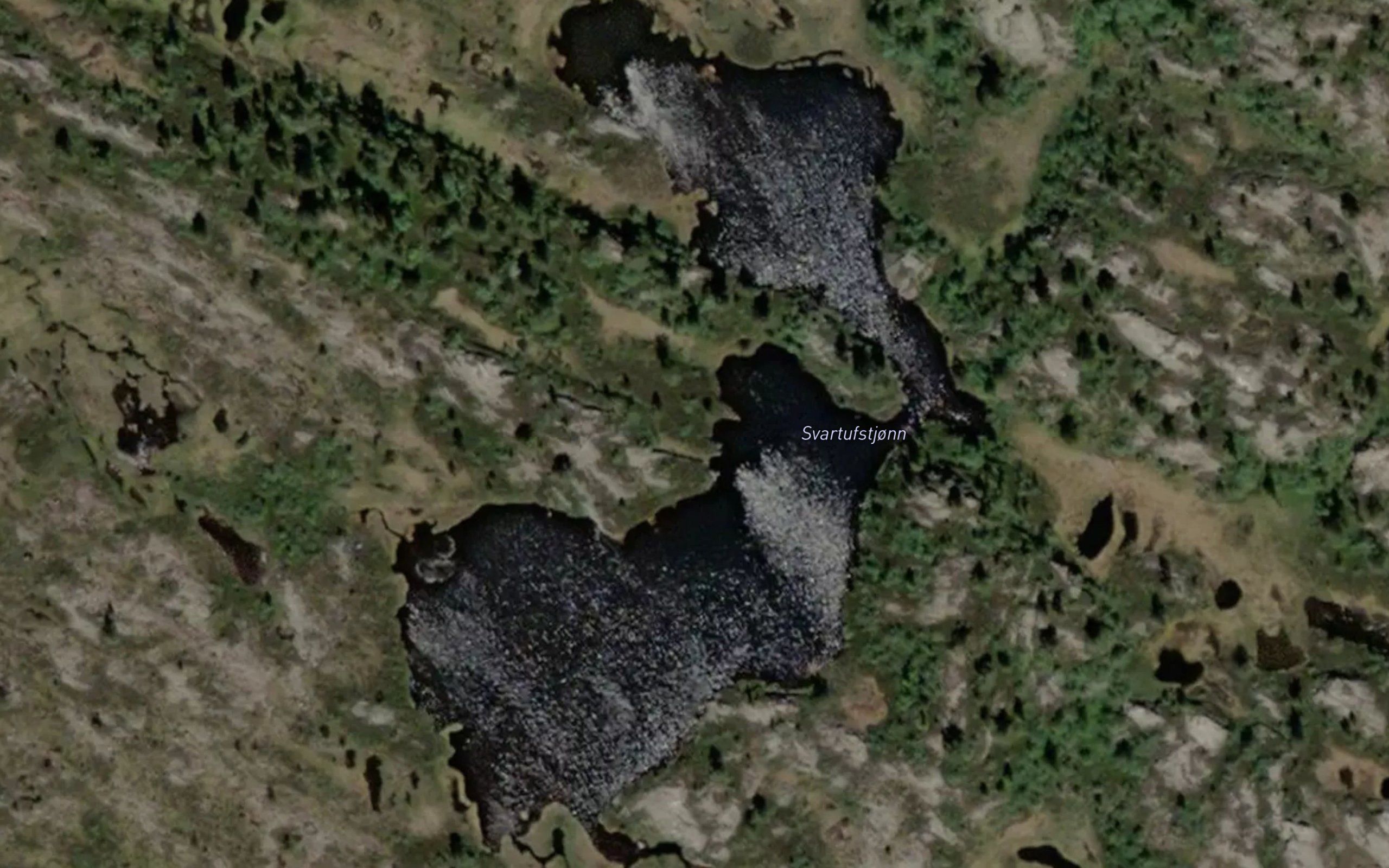 Svartufstjorn
