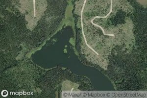 Dombey Lake