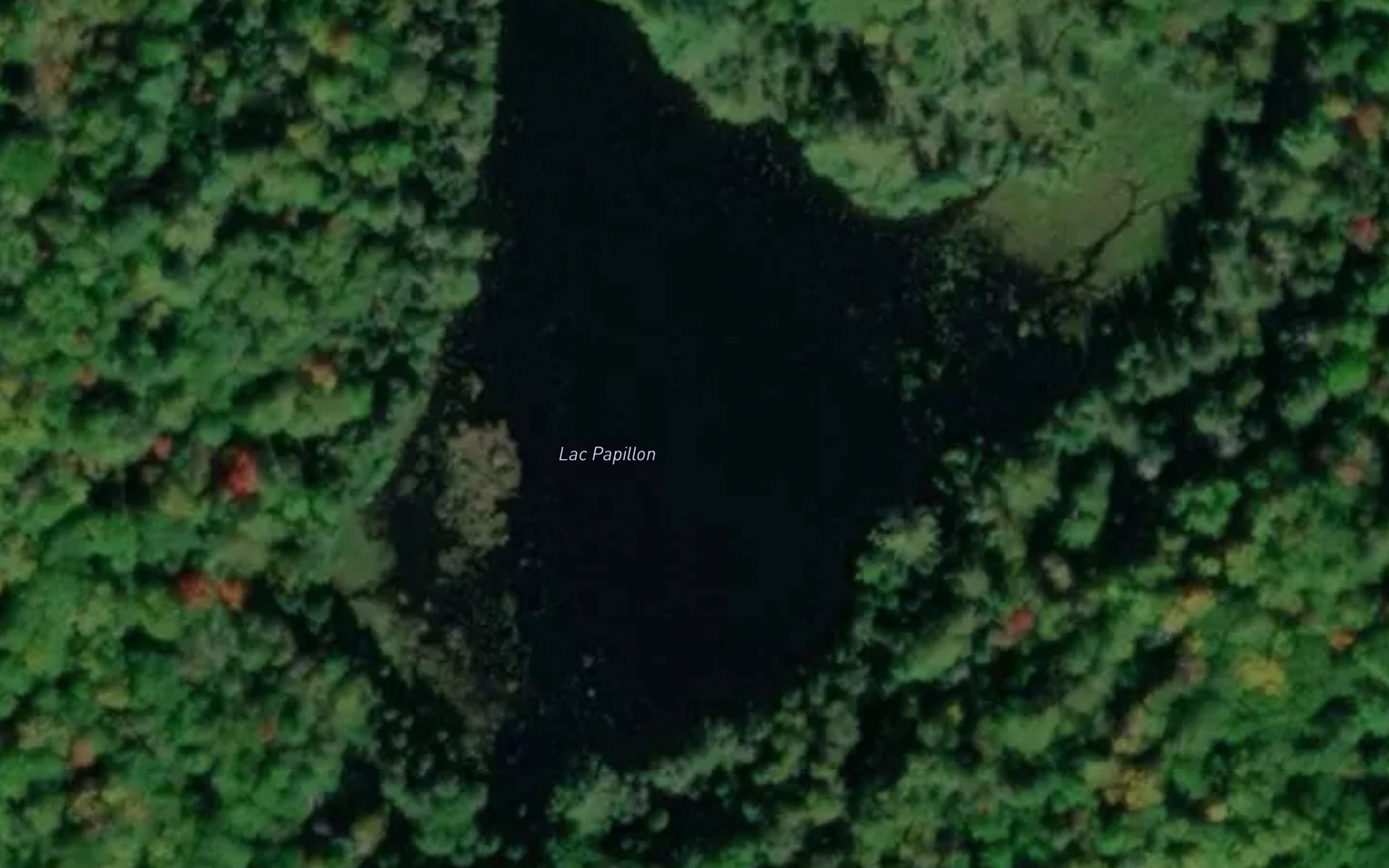 Satellite map of the Lac Papillon