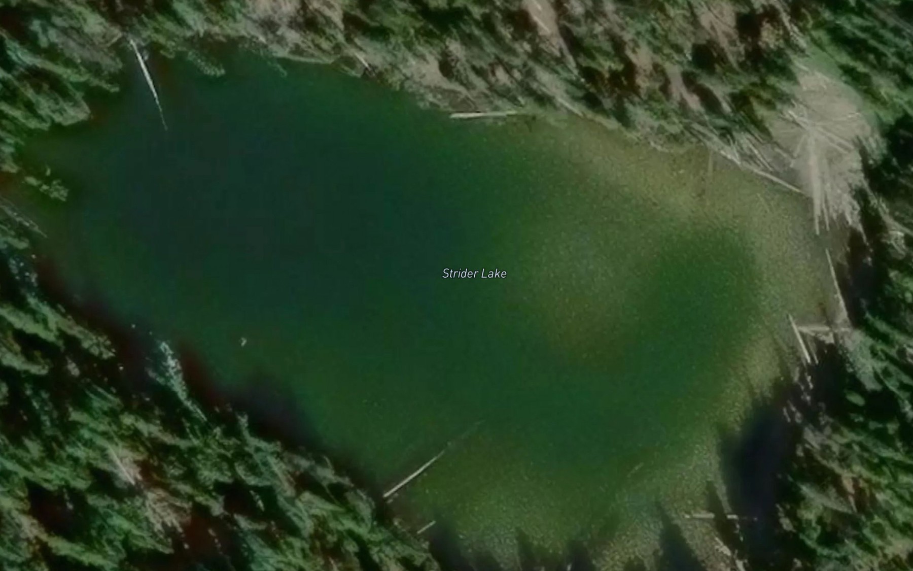Satellite map of the Strider Lake