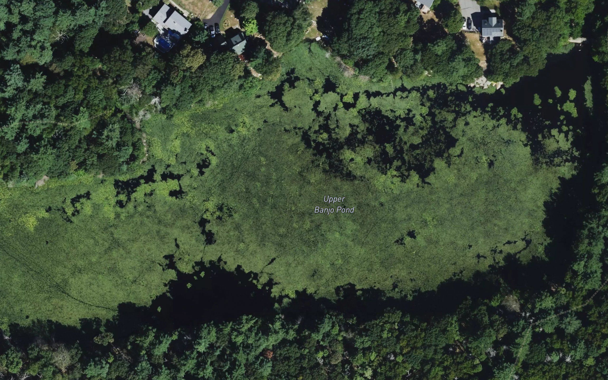Upper Banjo Pond