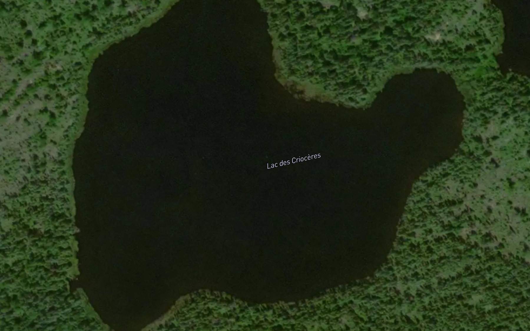 Satellite map of the Lac des Crioceres
