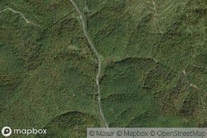 Mud Fork