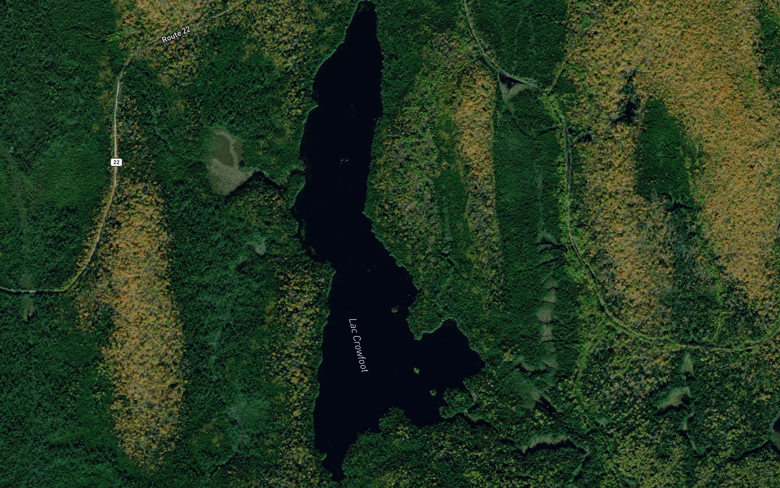 Lac Crowfoot