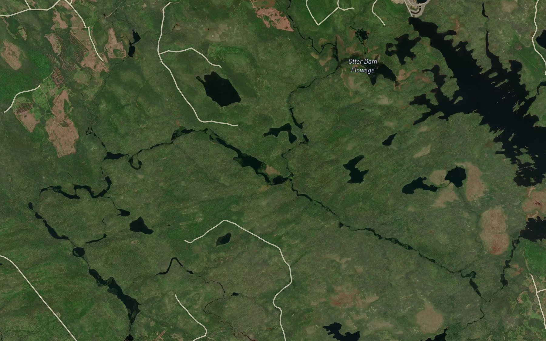 Satellite map of the Moose River