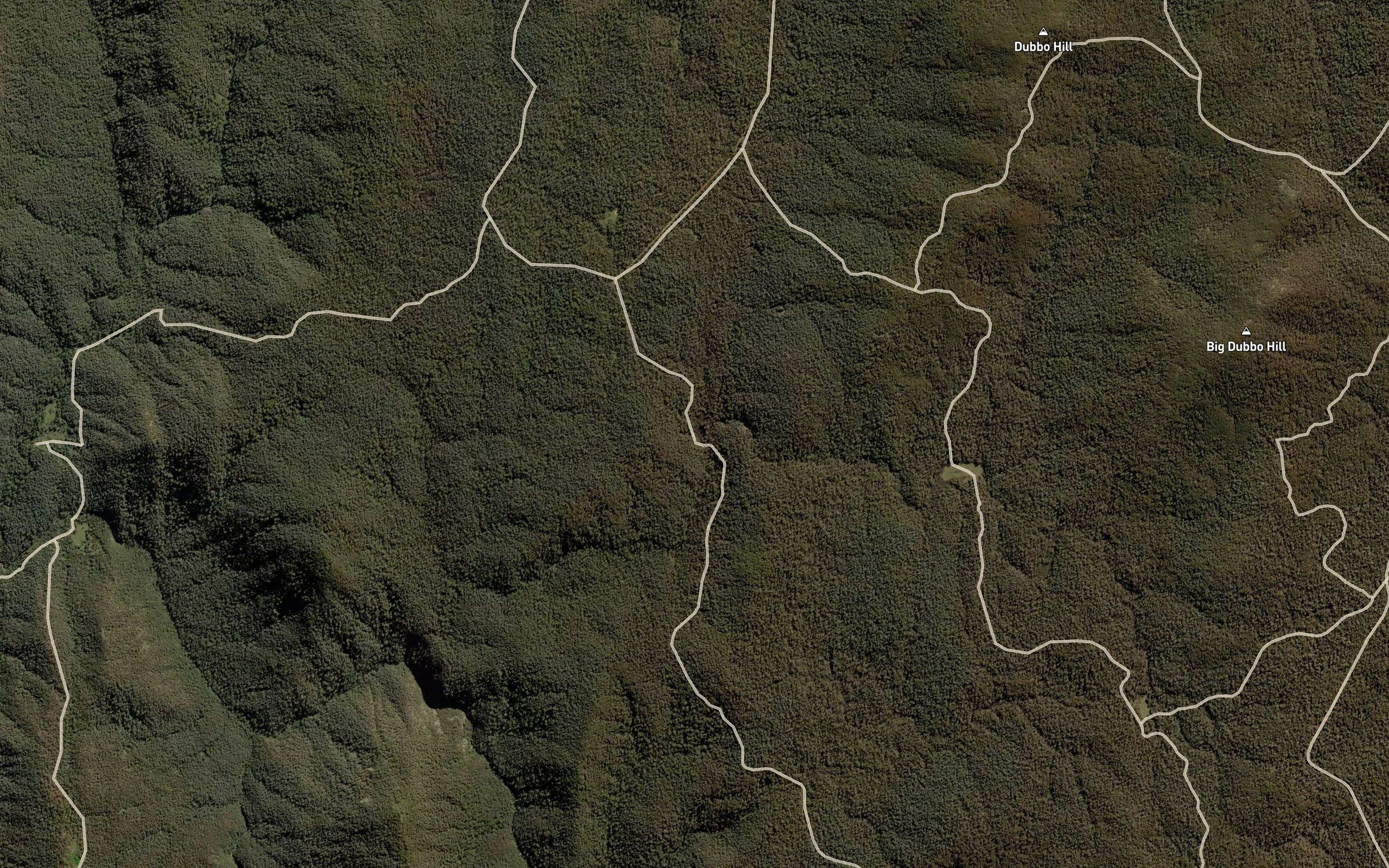 Shortcut Gully