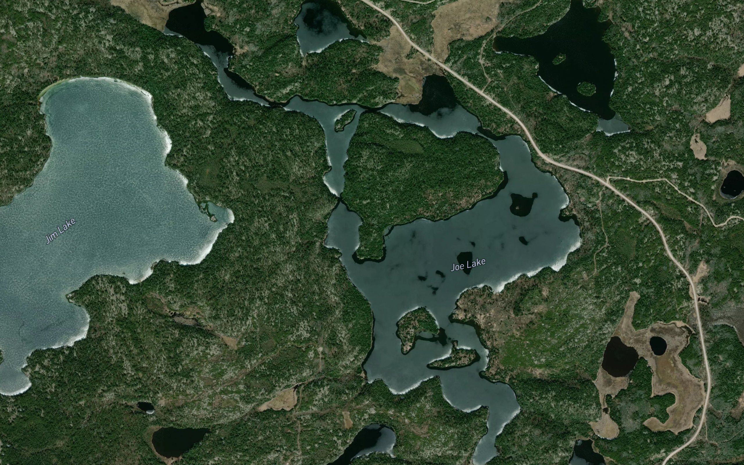 Joe Lake