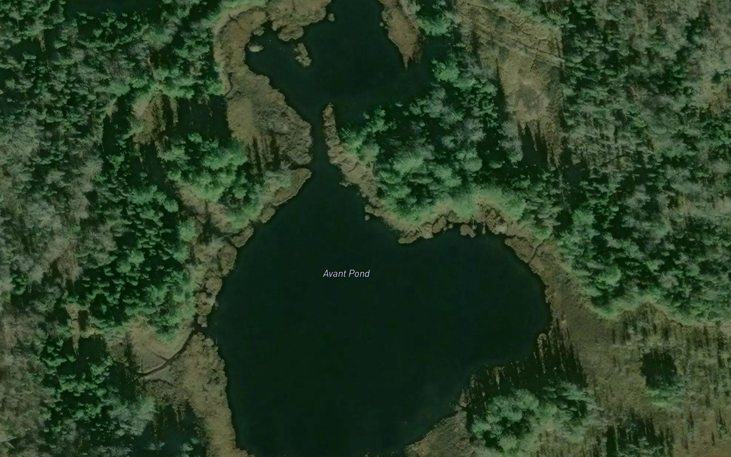 Avant Pond