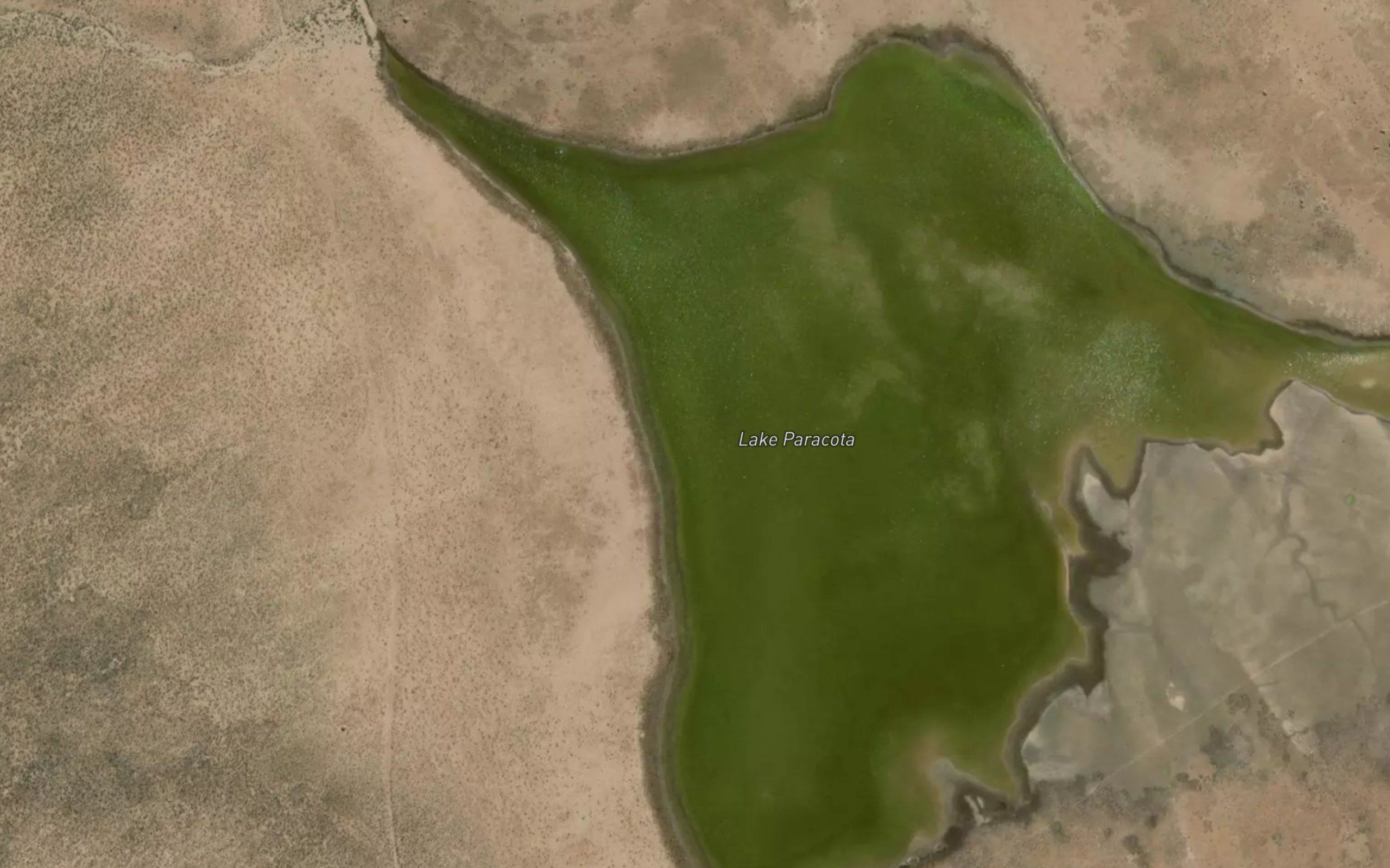 Laguna Paracota