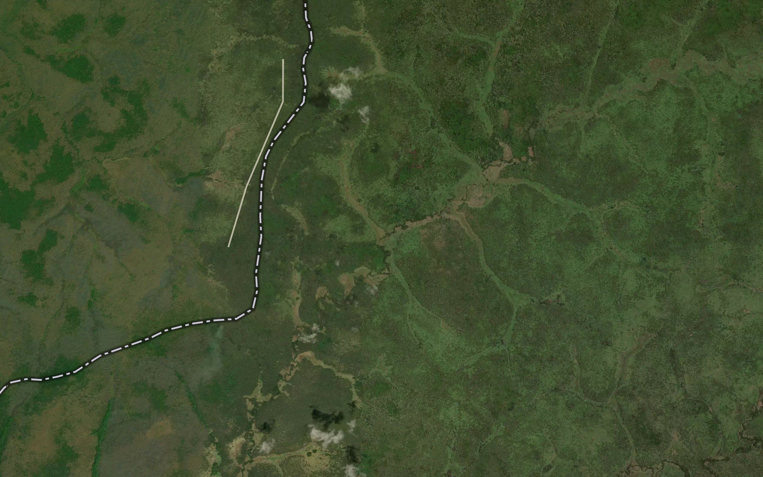 Nagugo