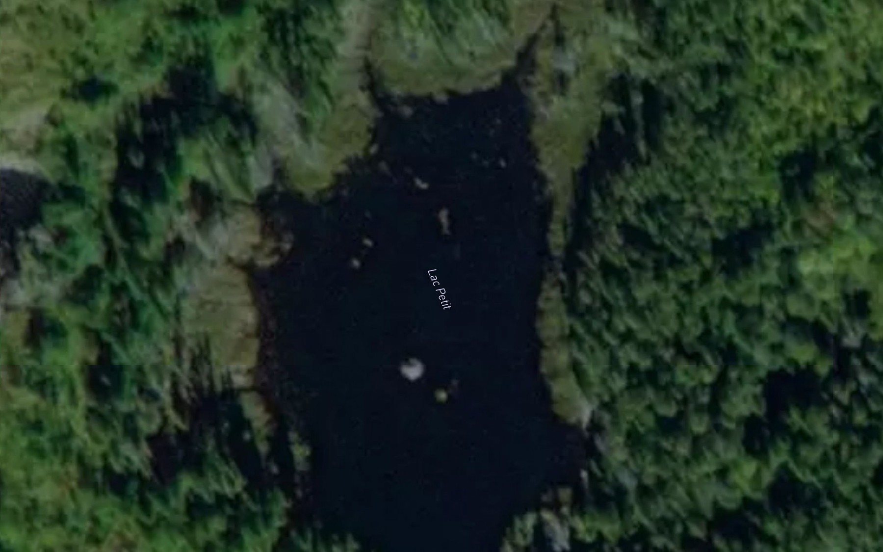 Satellite map of the Lac Petit