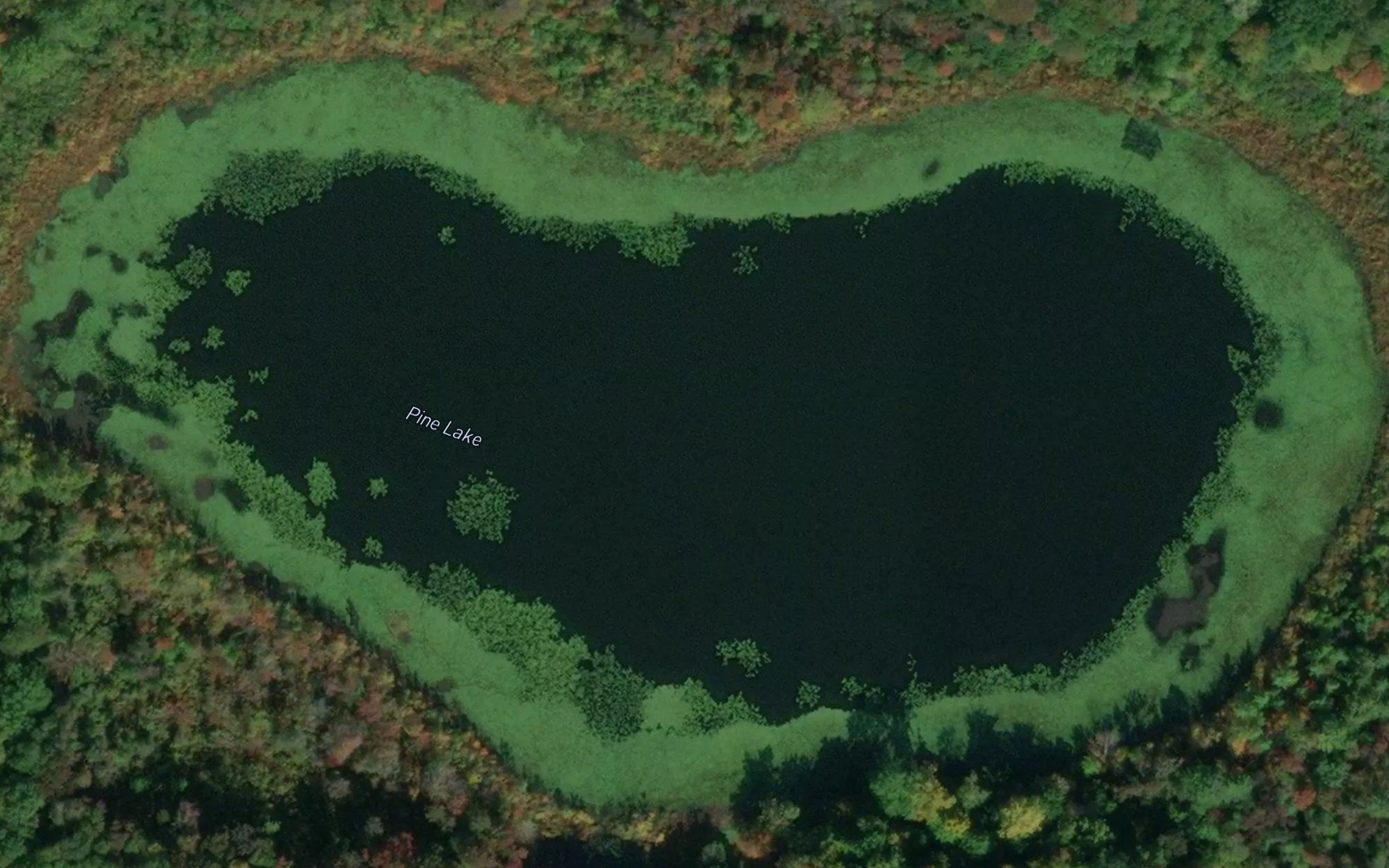 Pine Lake