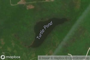 Turtle Pond