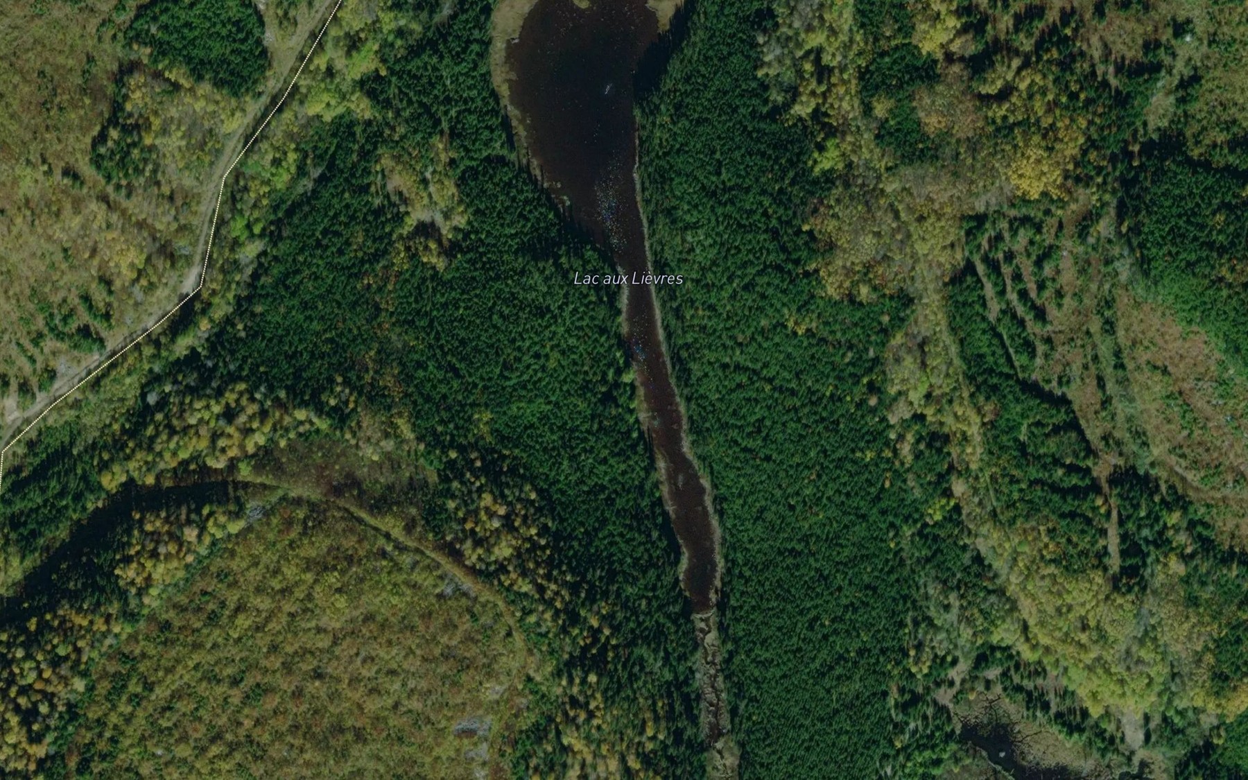 Satellite map of the Lac aux Lievres