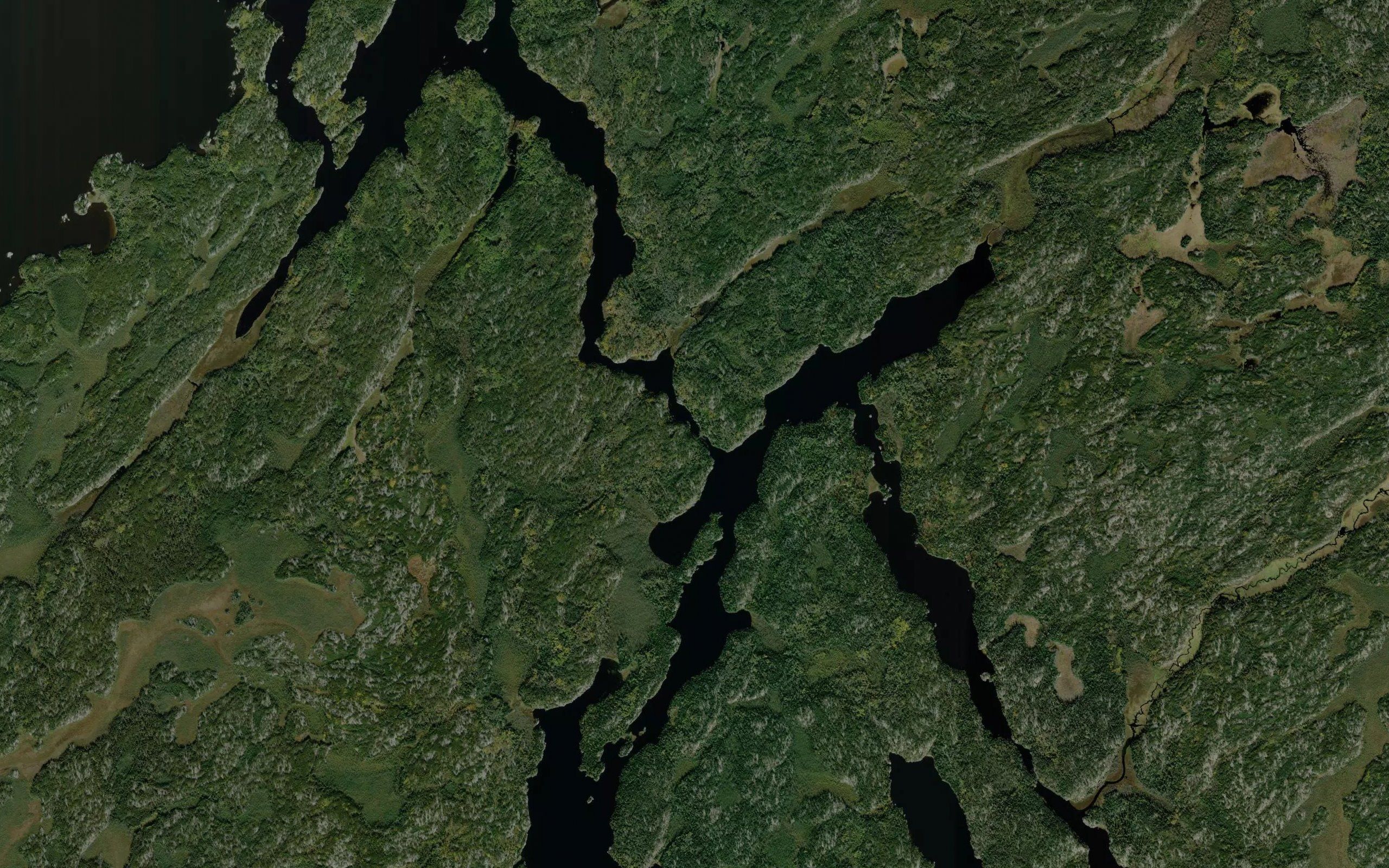 Oteekeekwa Rapids