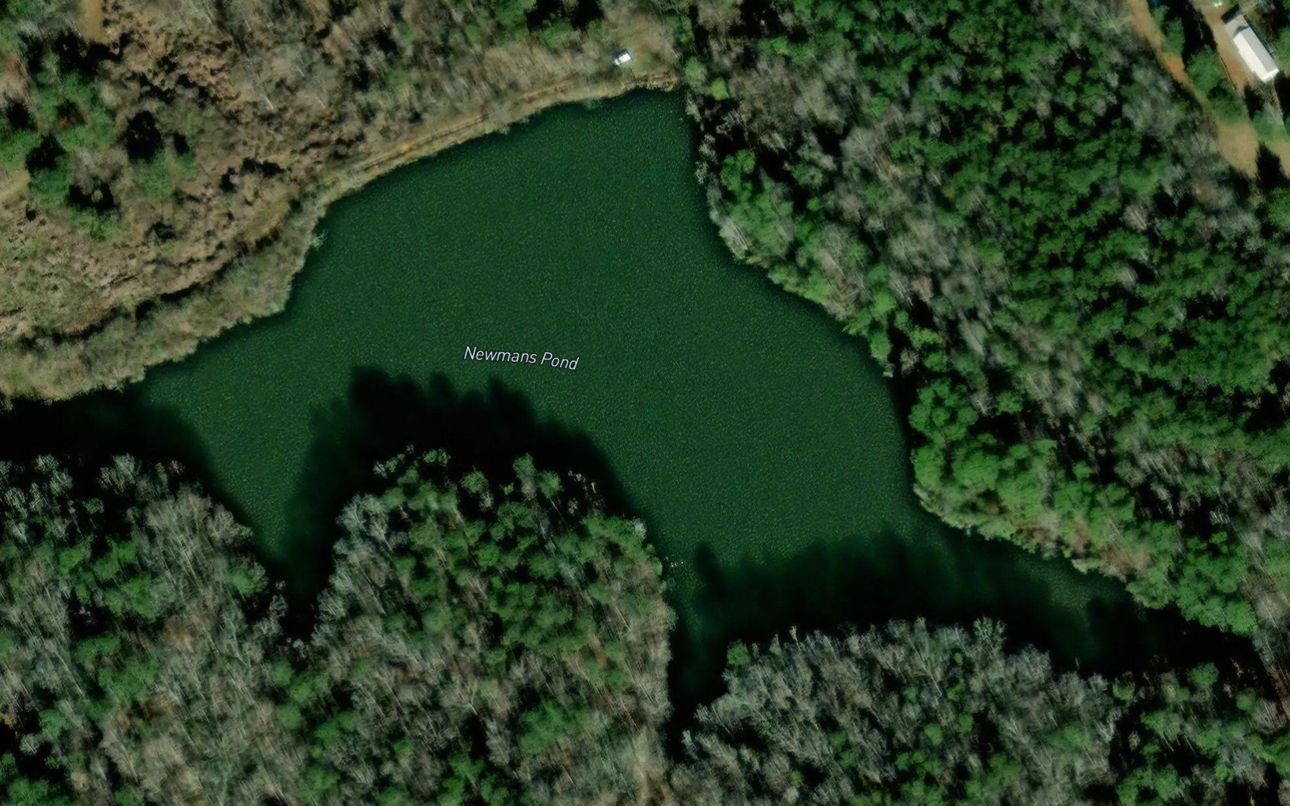 Newmans Pond