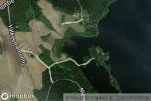 Heinisoja