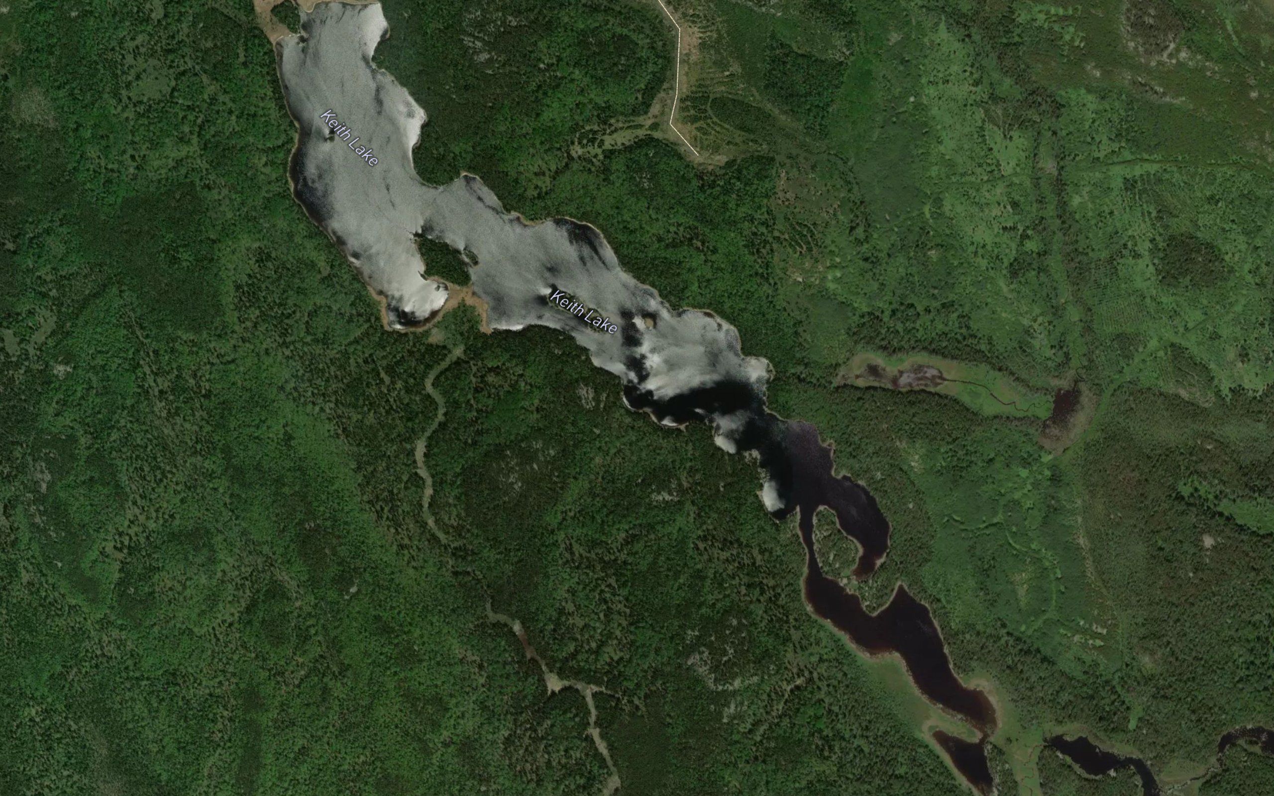 Keith Lake