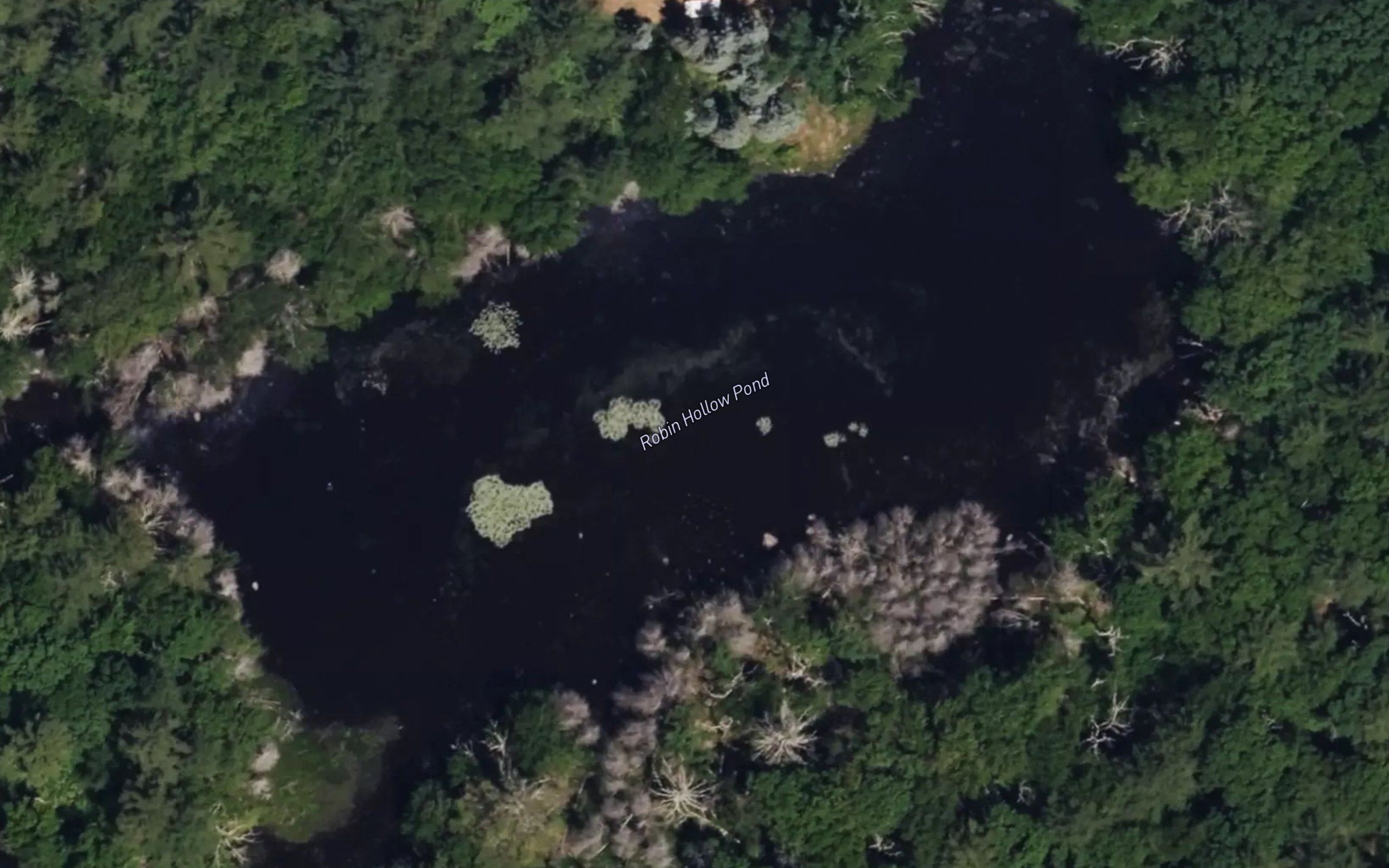Robin Hollow Pond