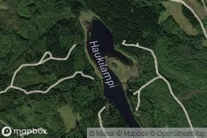 Haukilampi