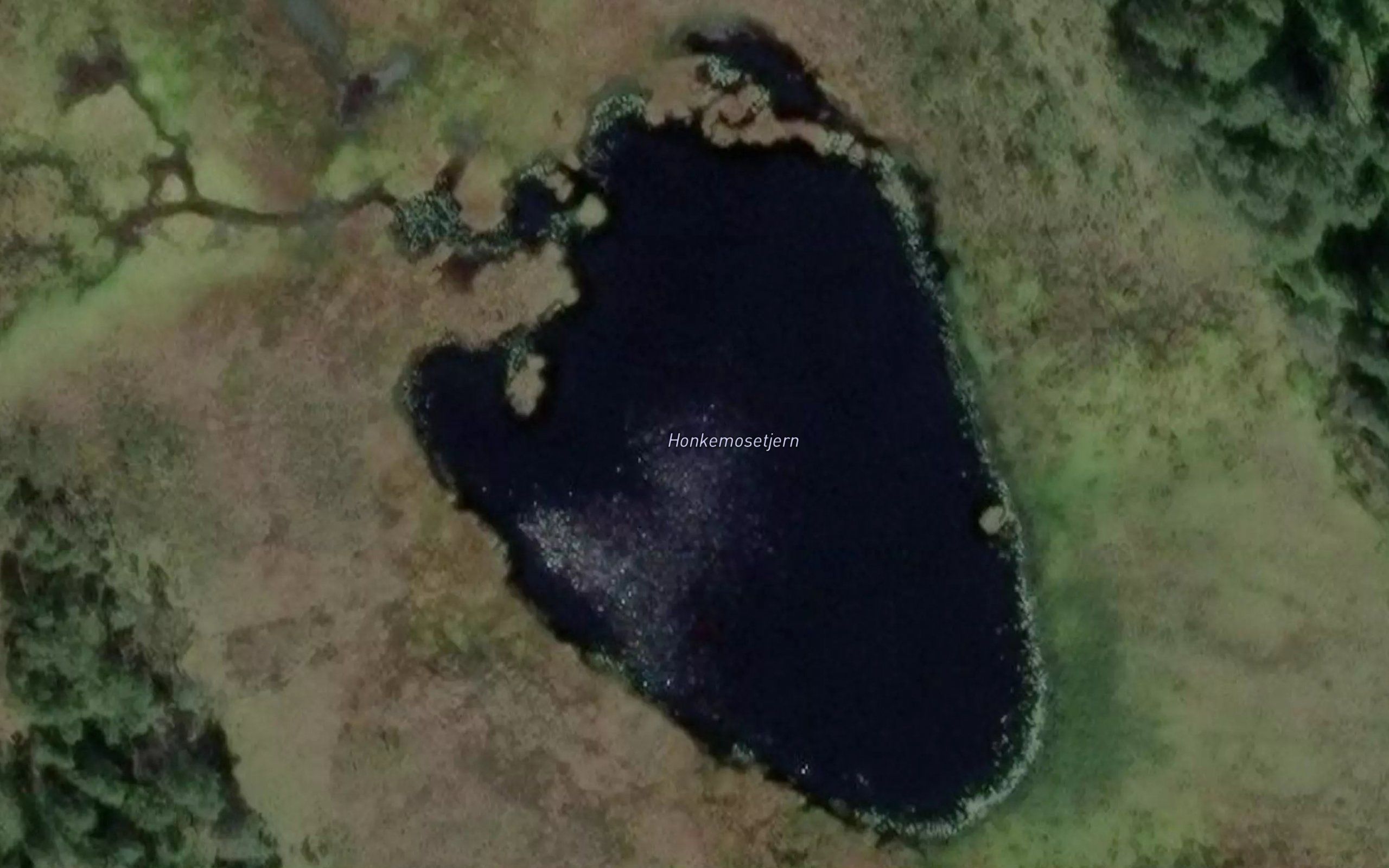 Honkemosetjern