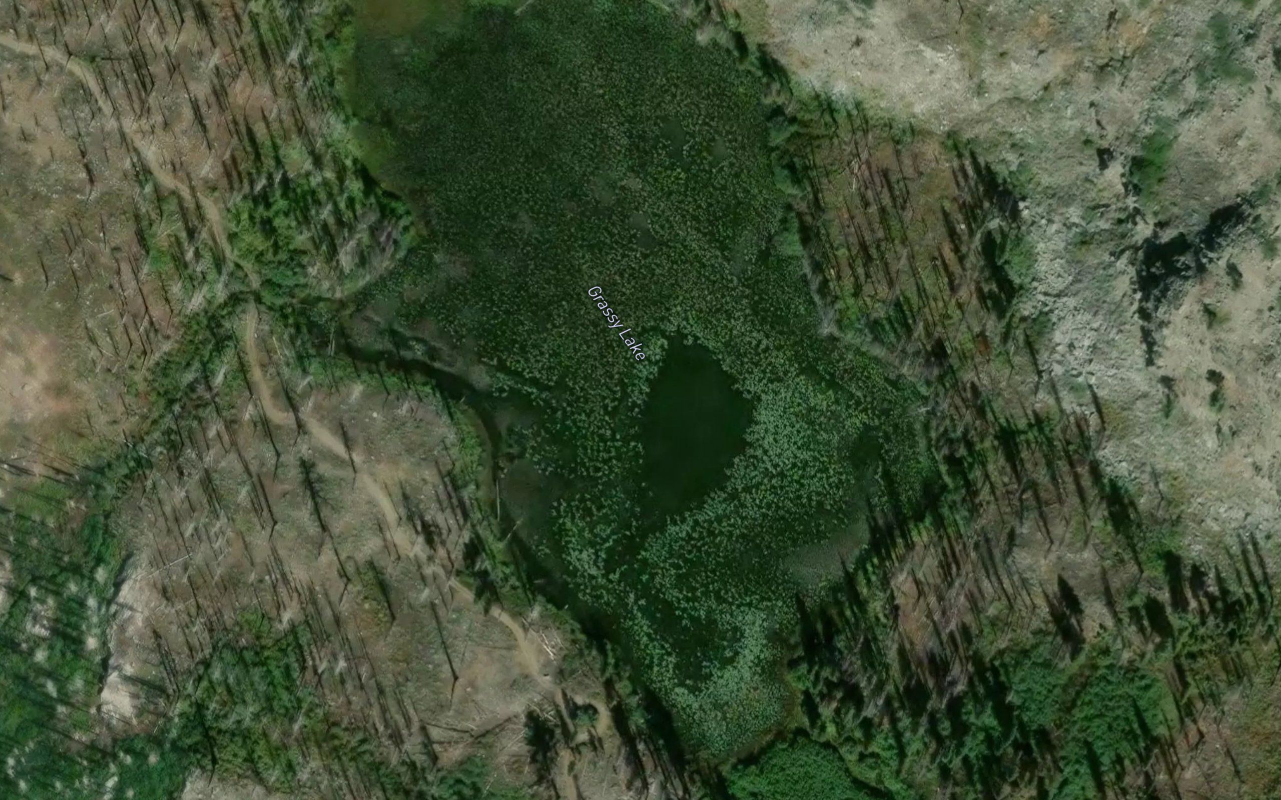 Grassy Lake