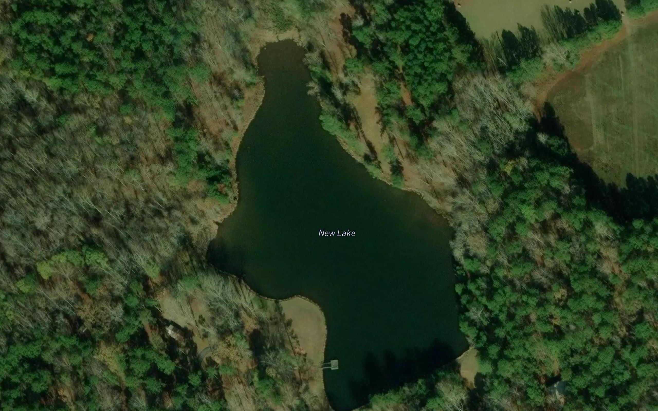 New Lake